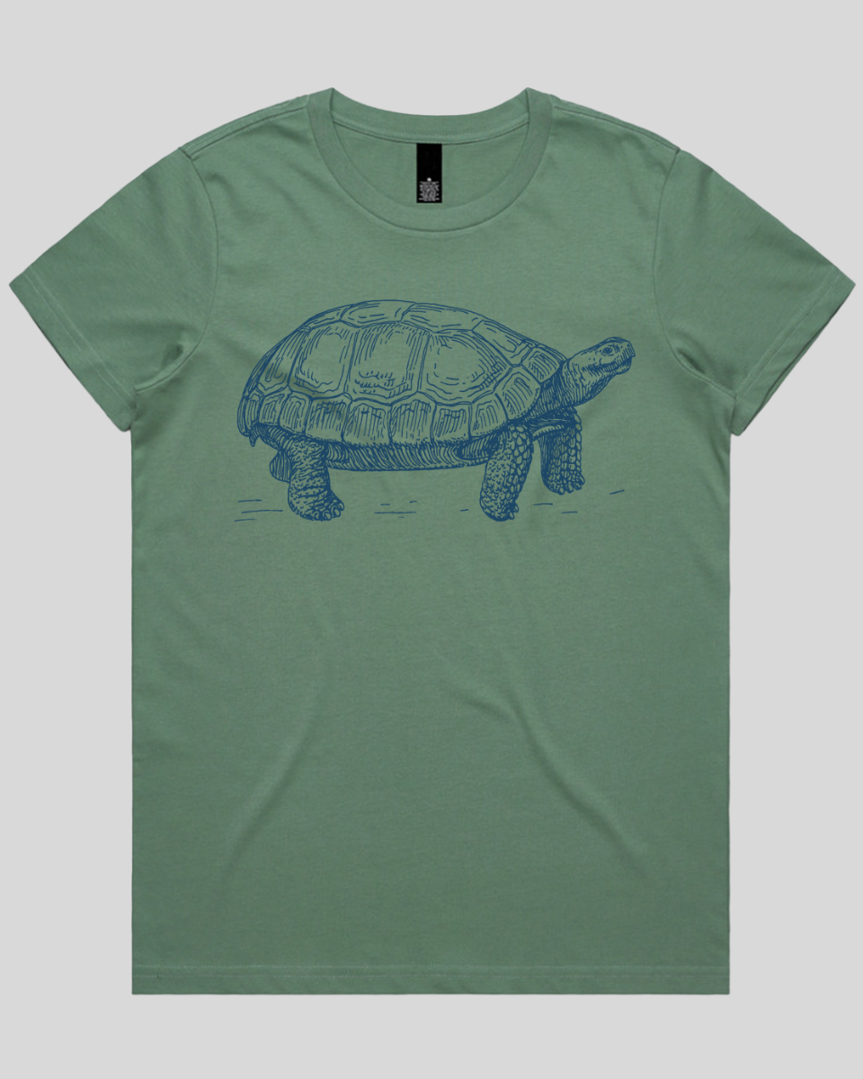 Turtle Step Women's T-Shirt