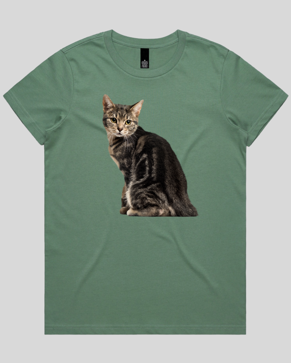Cautious Cat Women's T-Shirt