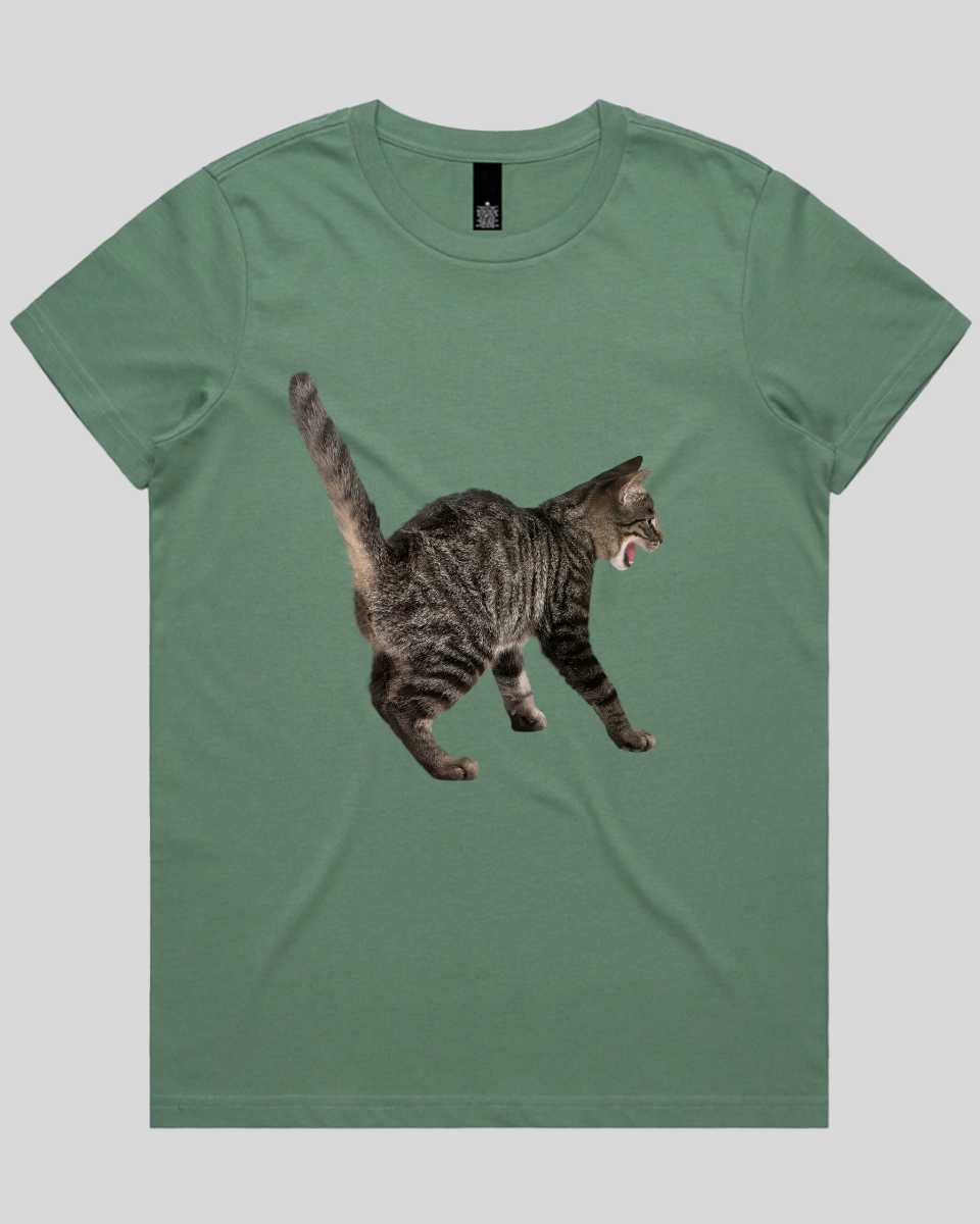 Scared Cat Women's T-Shirt