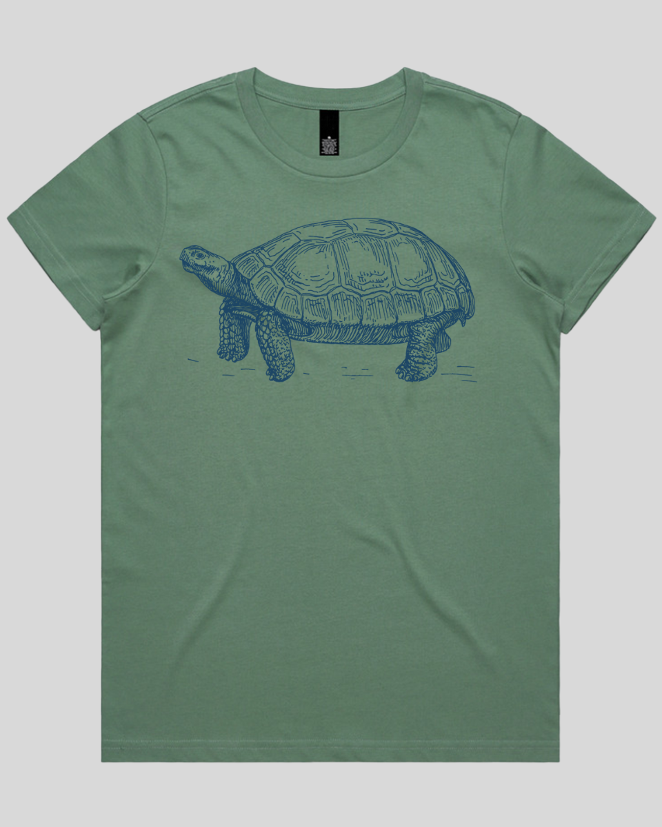 Tortoise Trail Women's T-Shirt