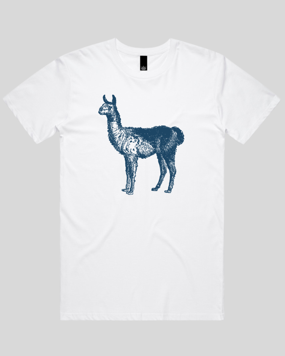 Llama Men's T-Shirt