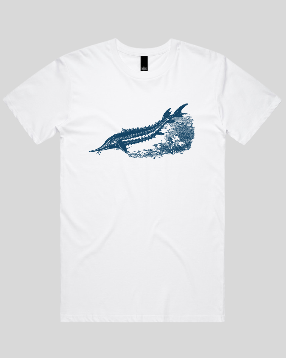 Ancient River Fish 2 Men's T-Shirt