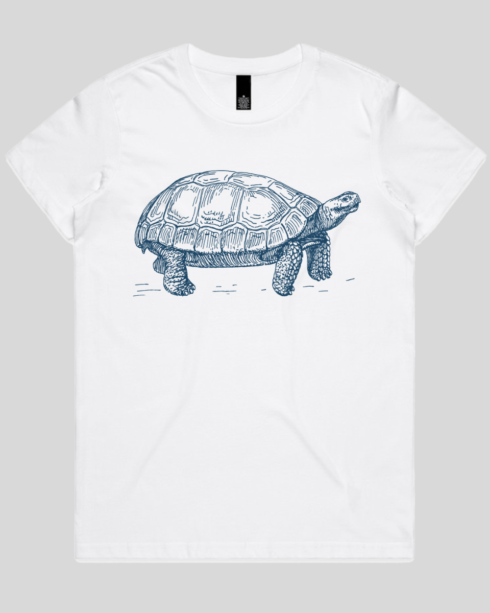 Turtle Step Women's T-Shirt