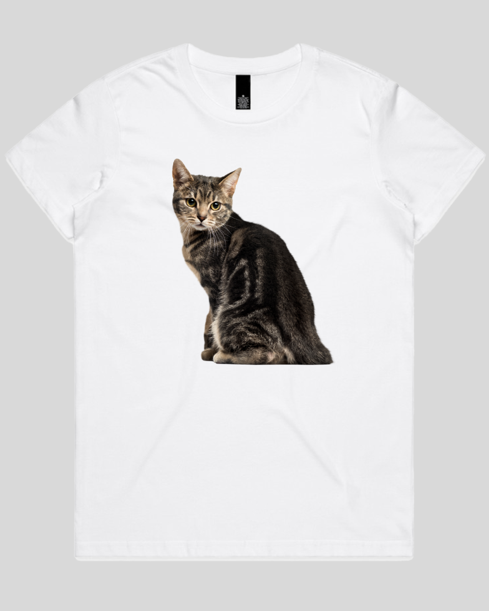 Cautious Cat Women's T-Shirt