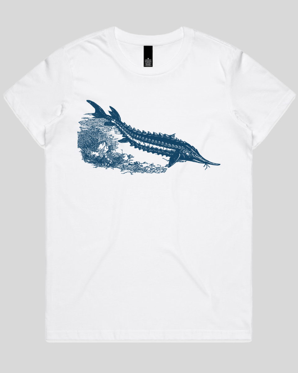 Ancient River Fish Women's T-Shirt