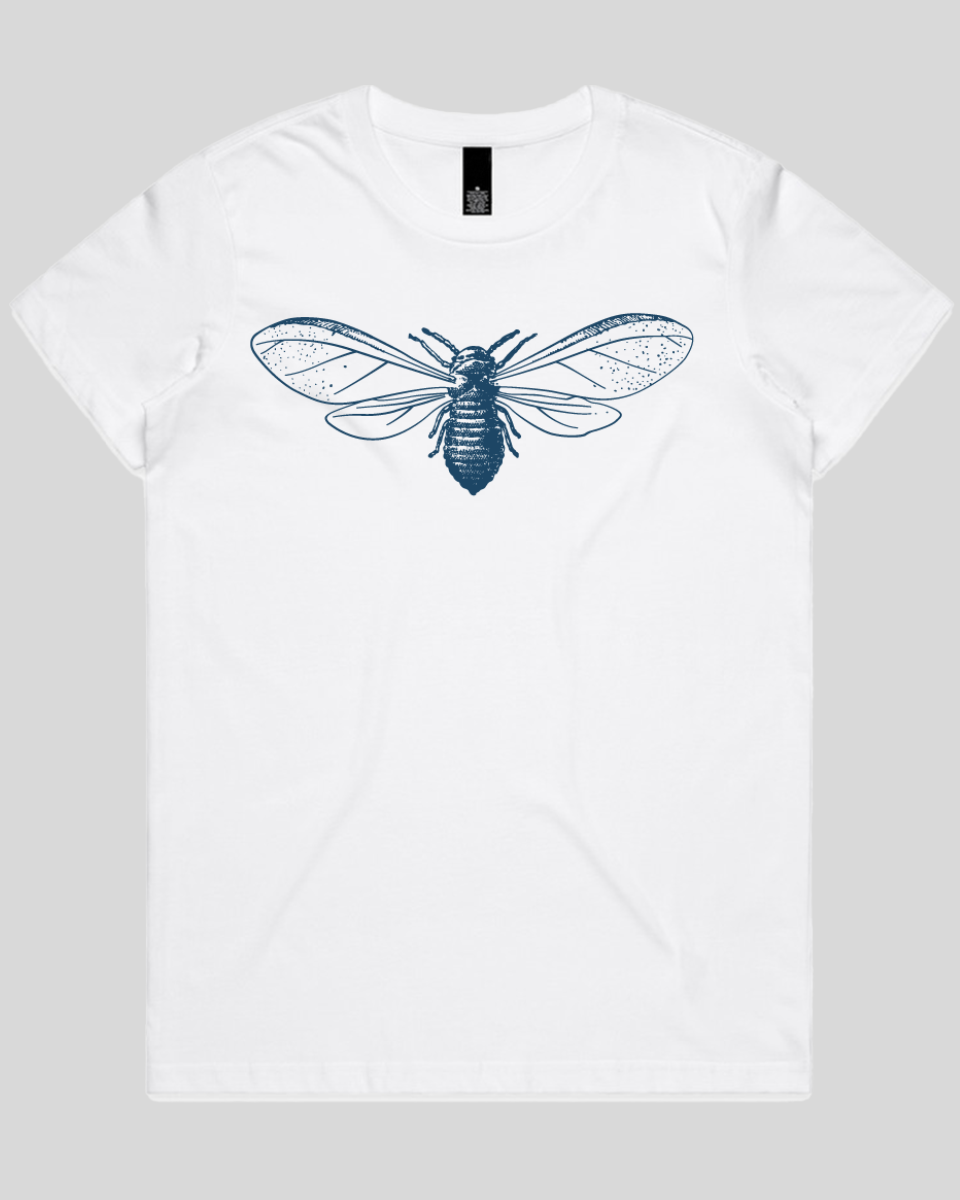 Detailed Moth Illustration Women's T-Shirt