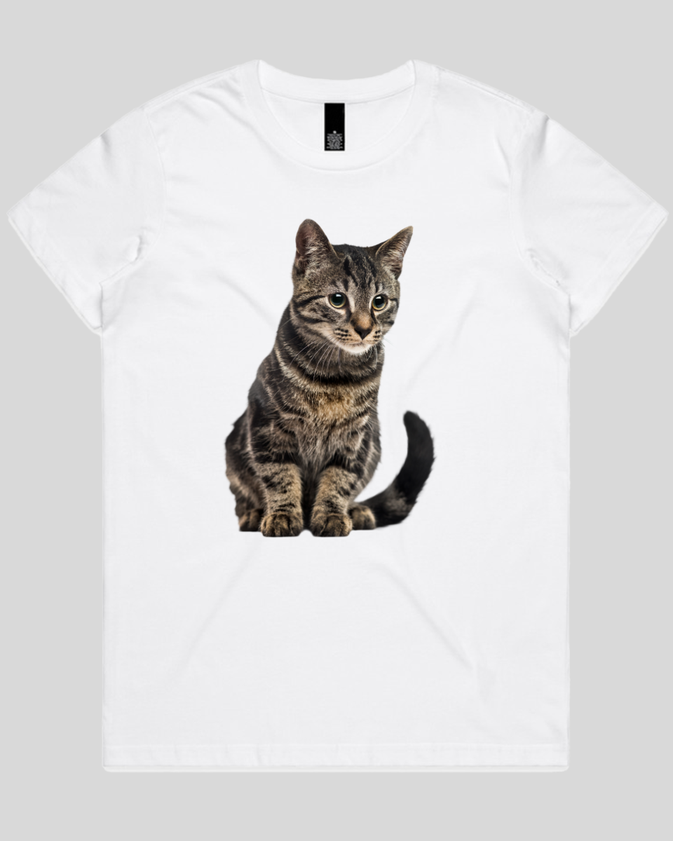 Focused Cat Women's T-Shirt