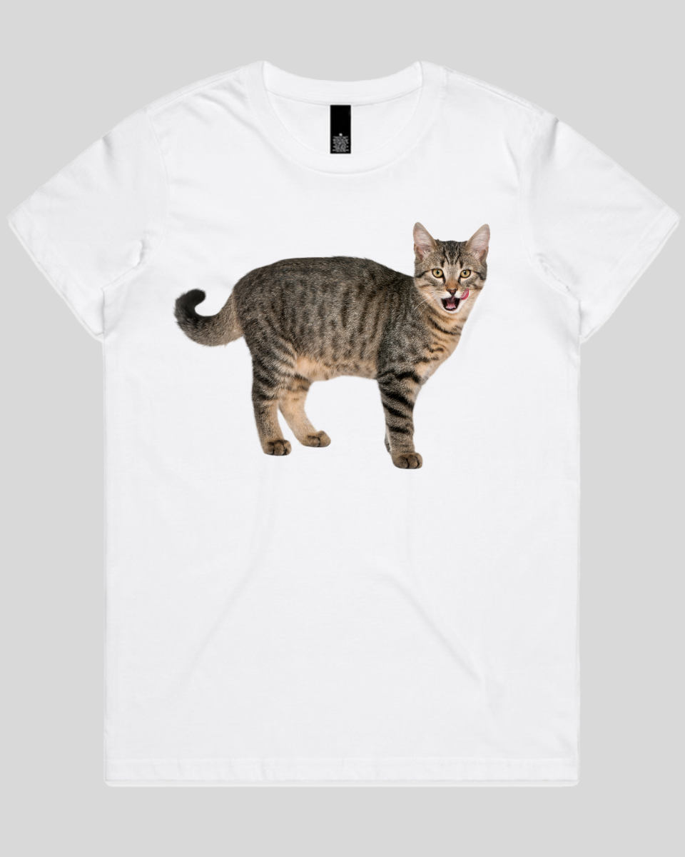 Hungry cat Women's T-Shirt