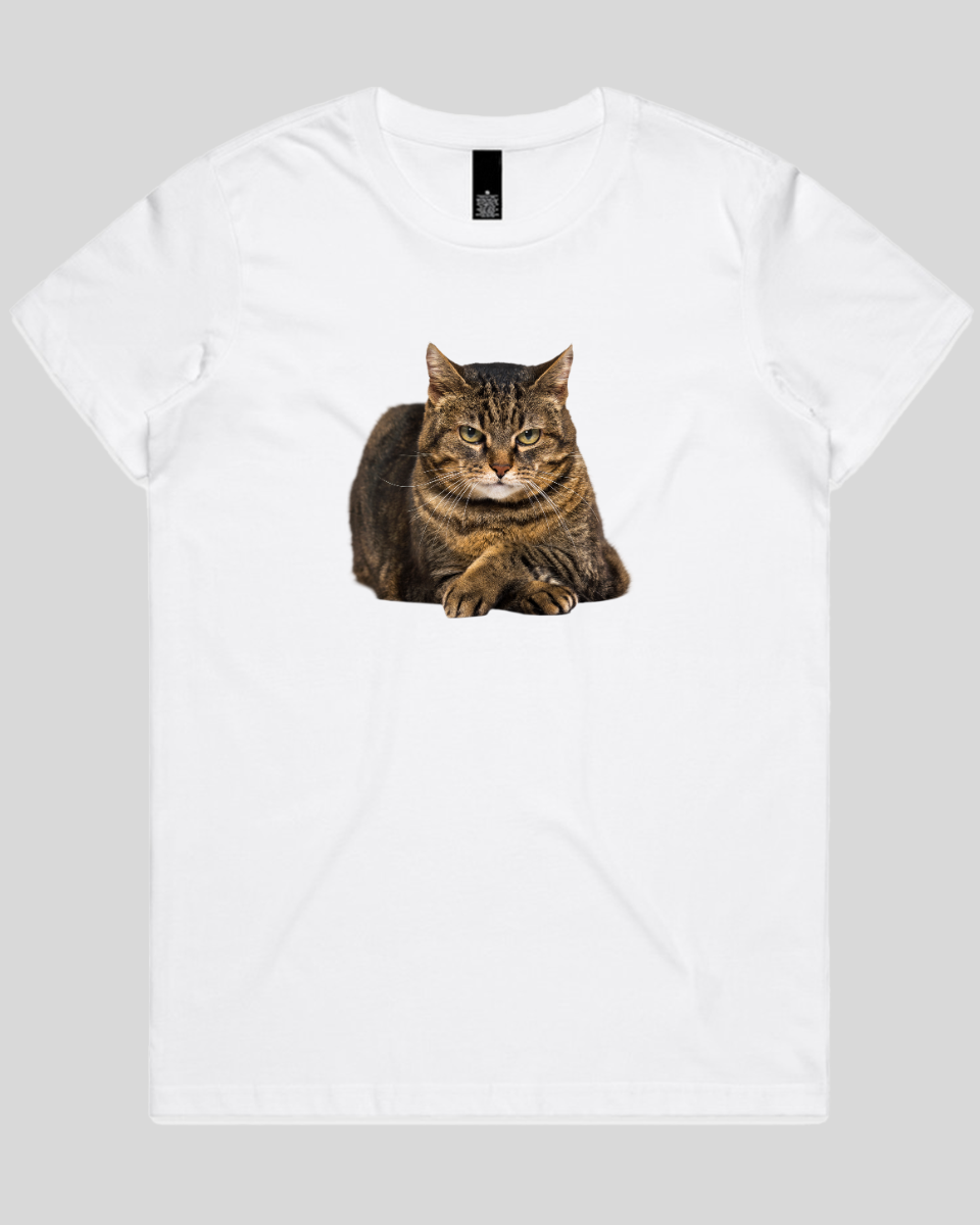 Confident Cat Women's T-Shirt