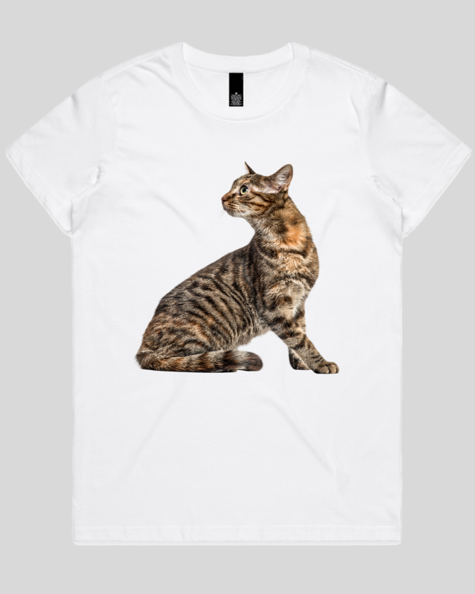 Perched Ready Cat Women's T-Shirt