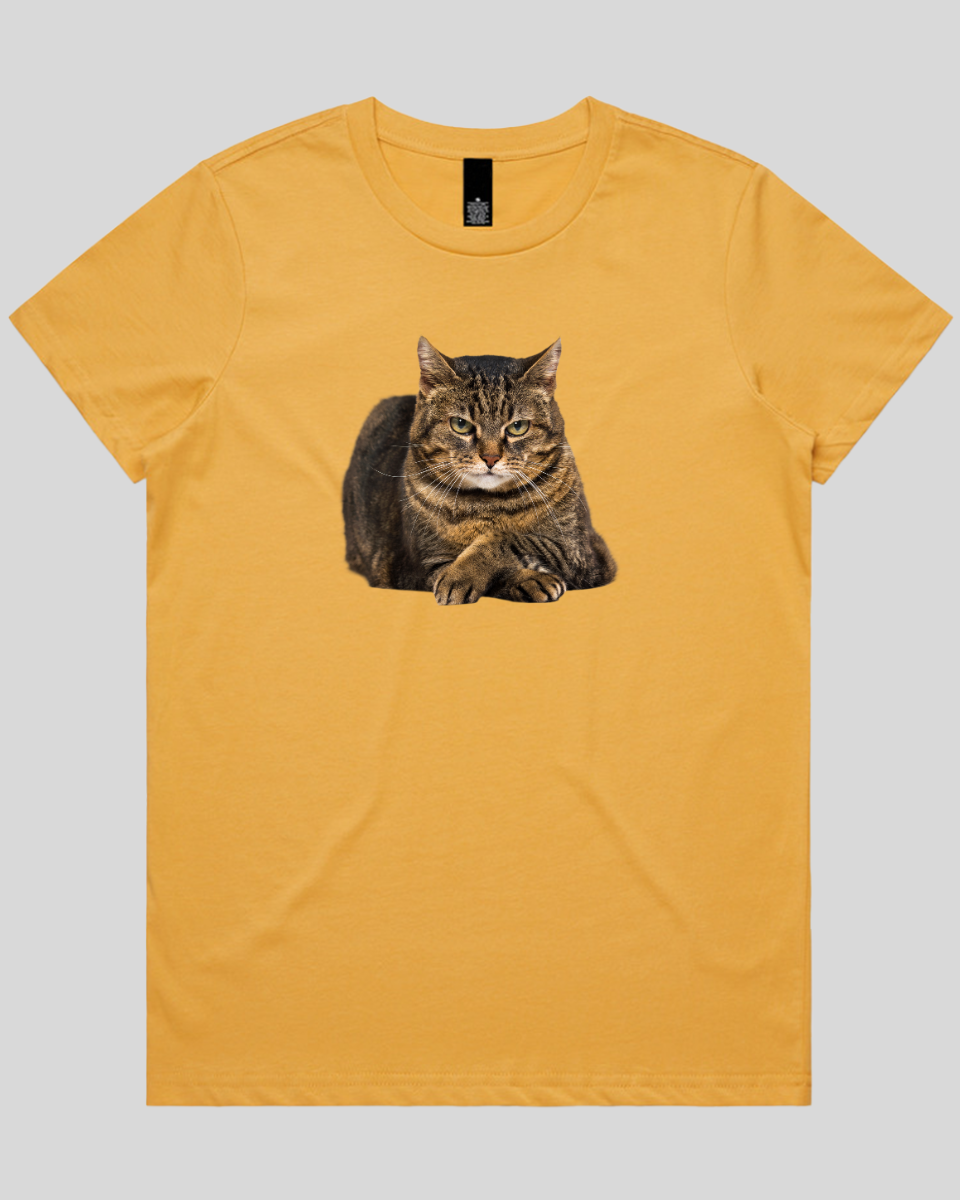 Confident Cat Women's T-Shirt