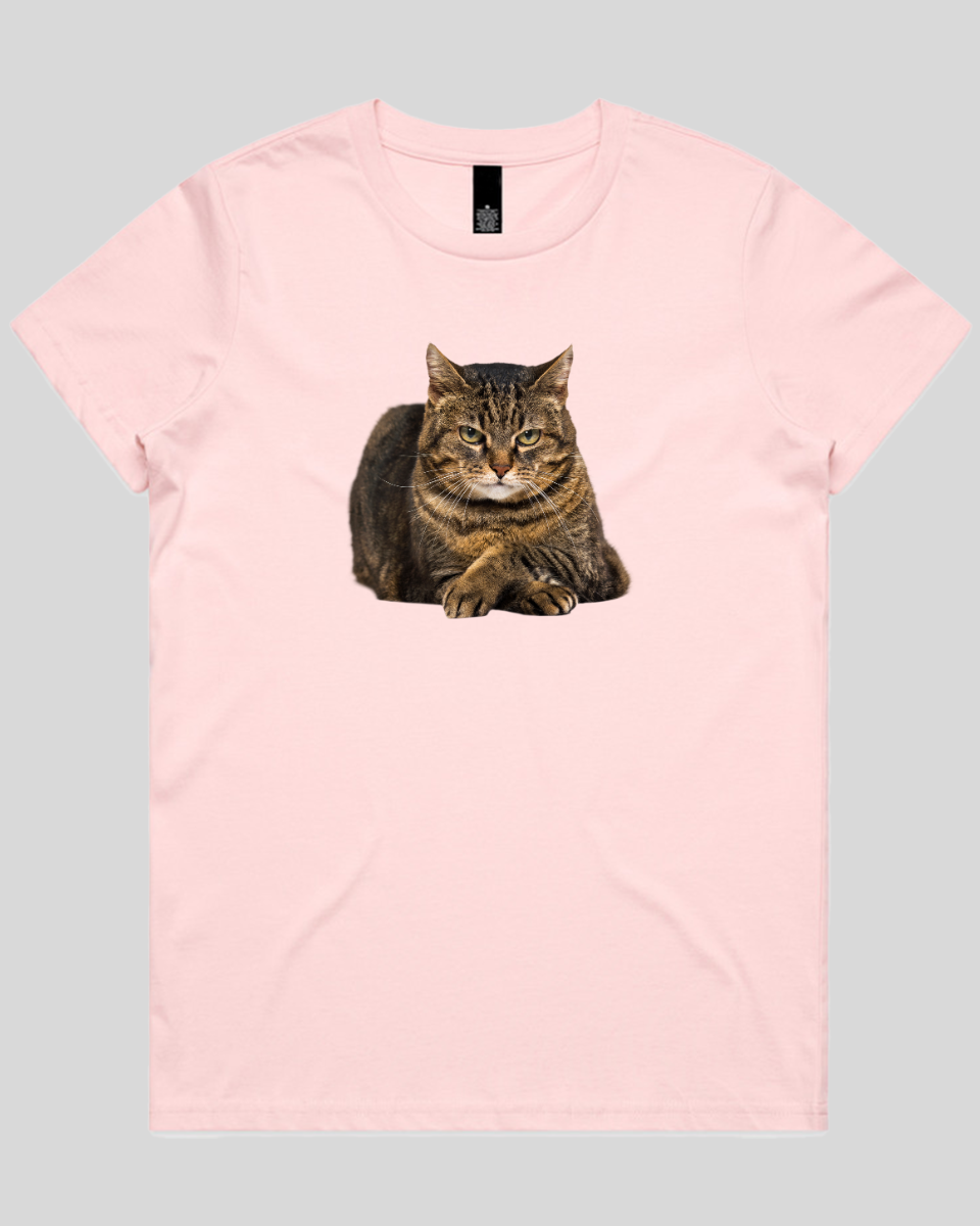 Confident Cat Women's T-Shirt