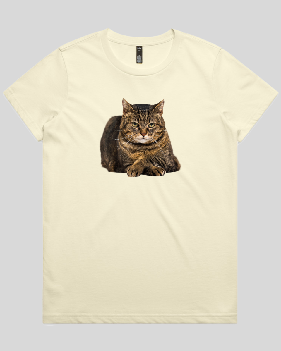 Confident Cat Women's T-Shirt