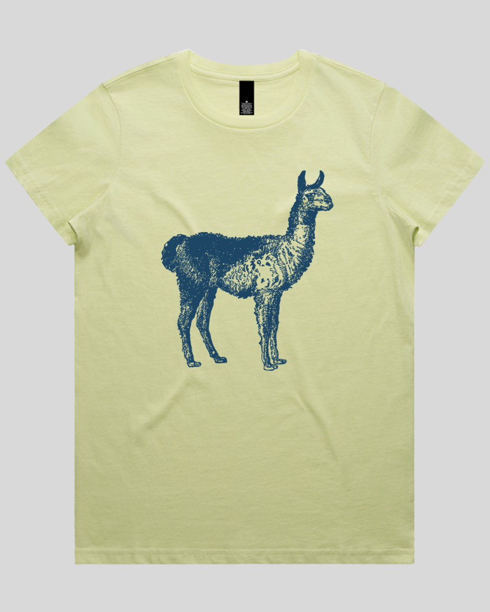 Alto Llama Women's T-Shirt