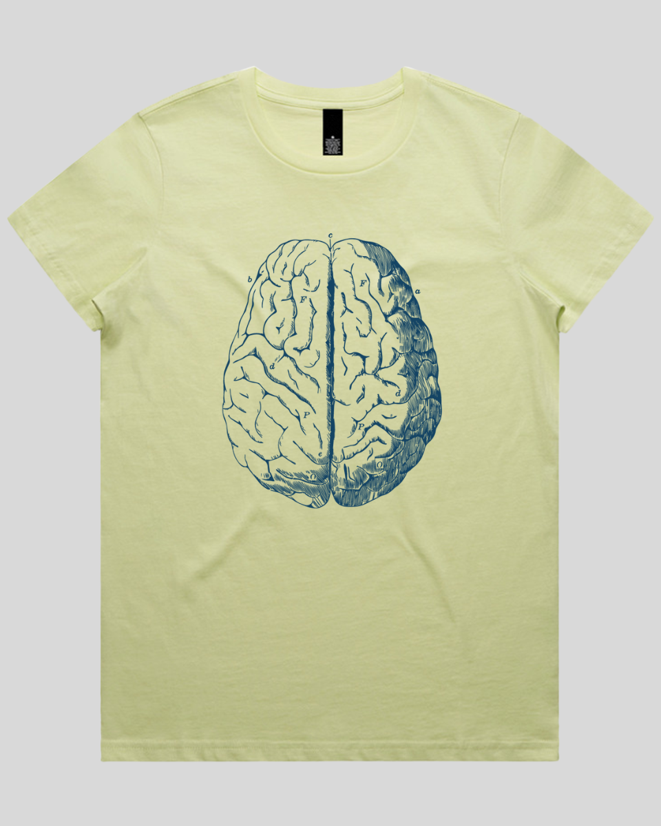 Vintage Brain Diagram Women's T-Shirt