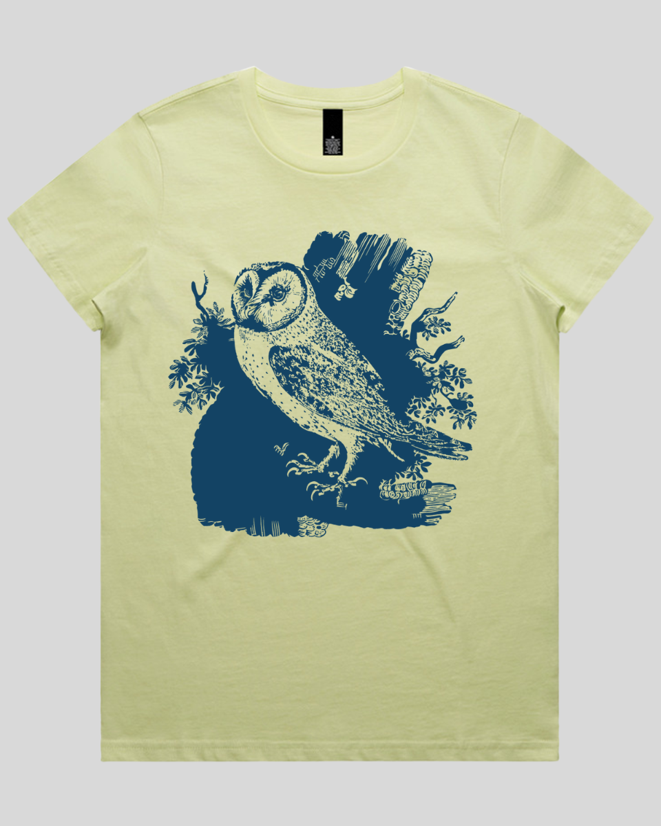 Perched Forest Owl Women's T-Shirt