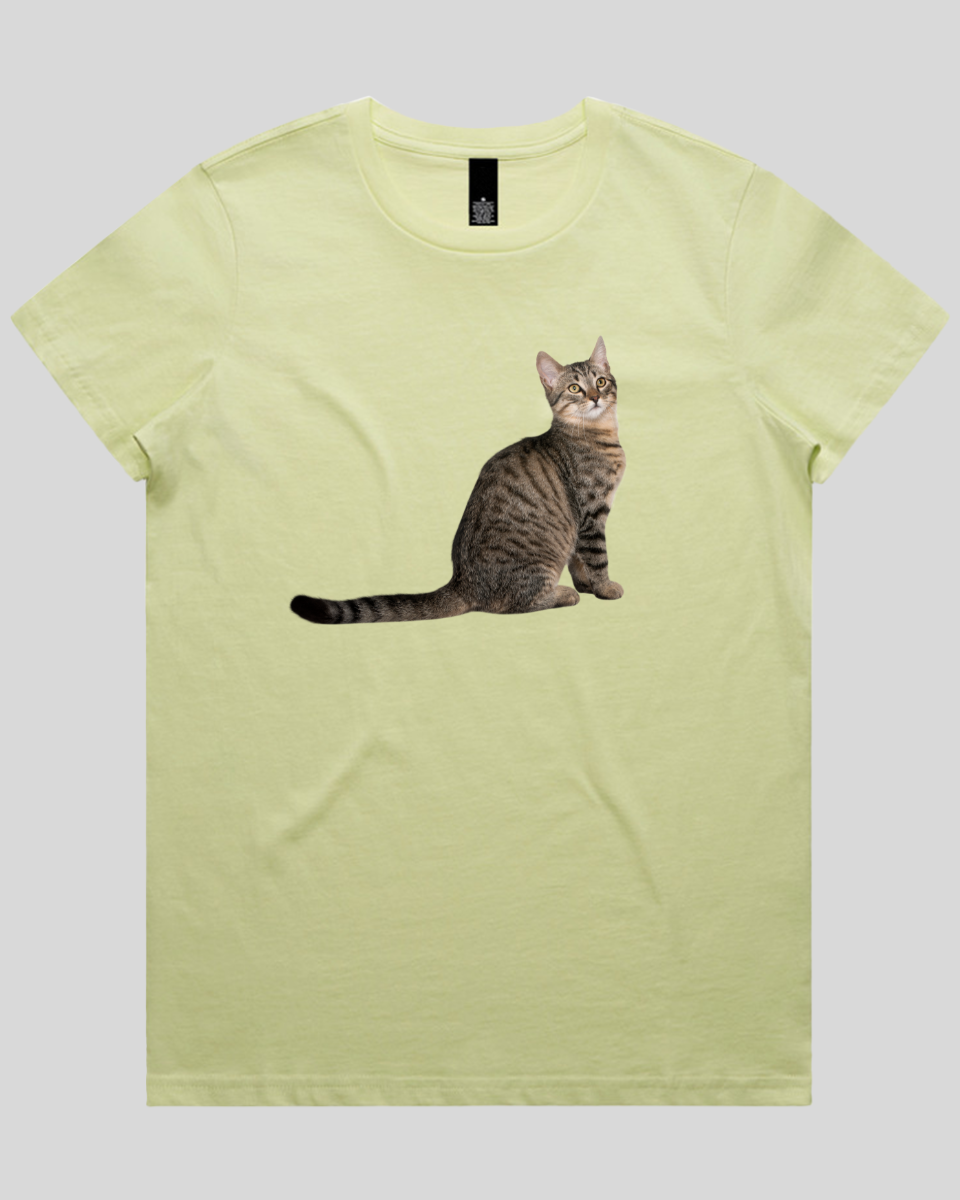 Curious Cat Women's T-Shirt