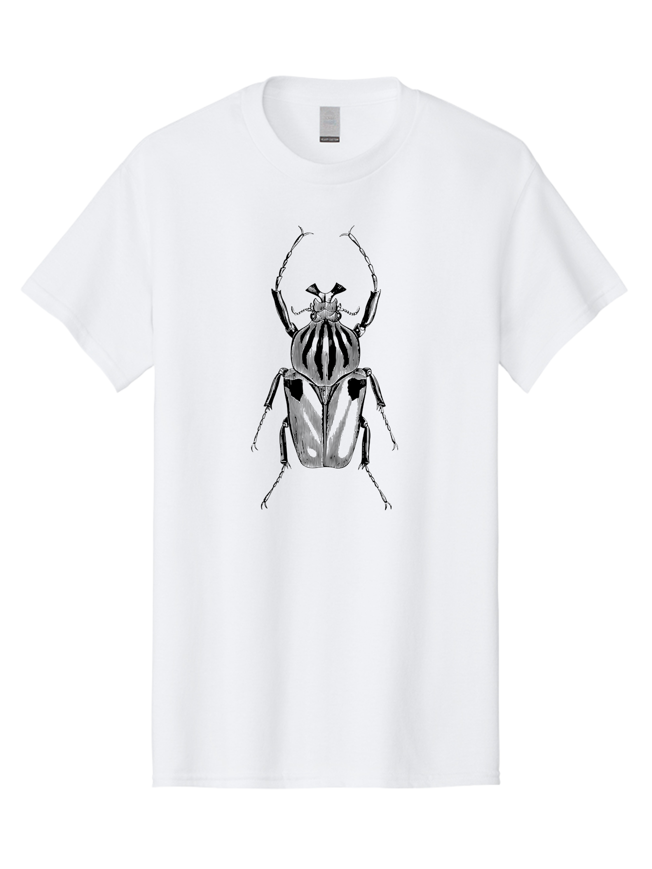 Beetle-Illustration-1 Men'S Graphic Tee, 100% Cotton, Comfortable Casual Summer Wear, Machine Washable, Beetle Illustration, Insect Art, Entomology, Striped Beetle, Black And Green, Detailed Drawing, Wildlife Illustration, Bug Graphics Aab507