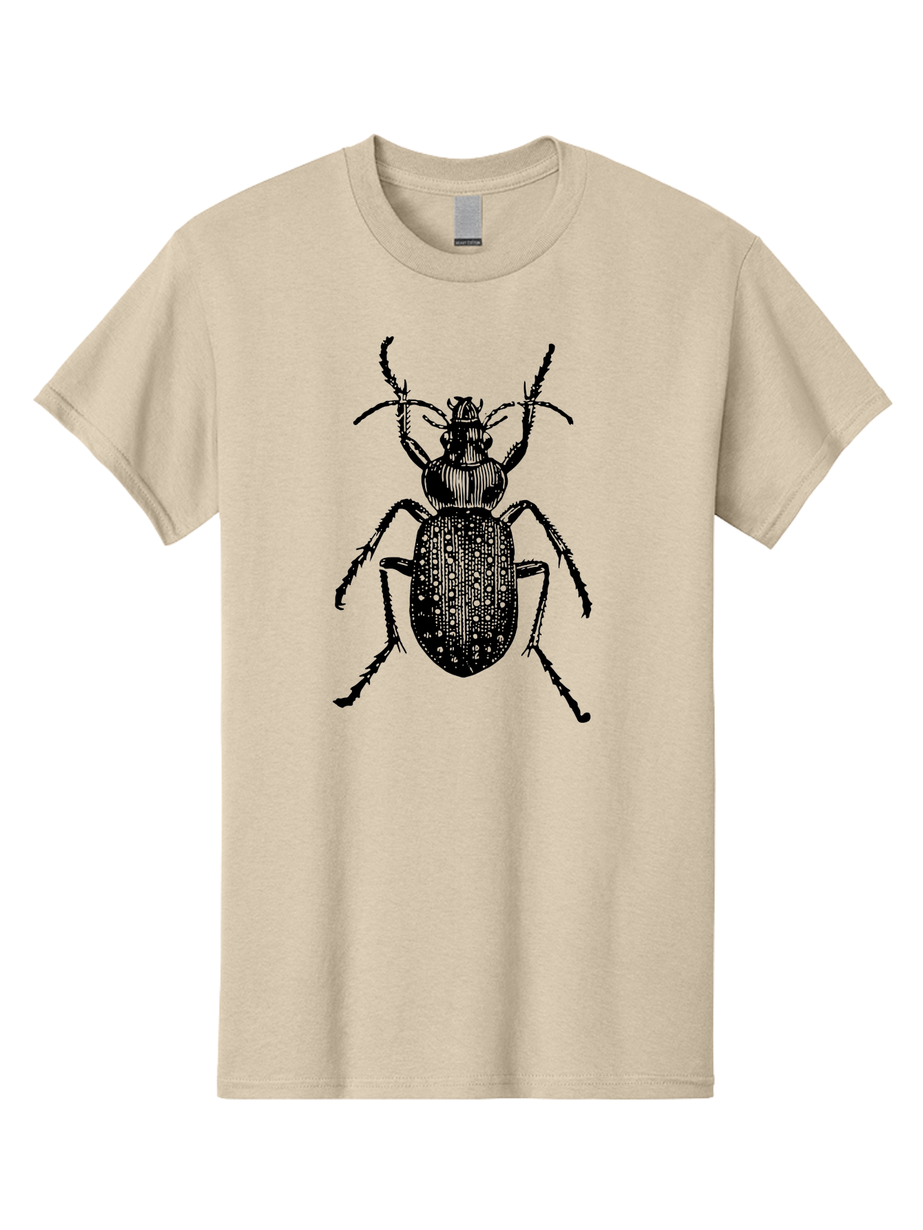 Beetle Men'S Graphic Tee, 100% Cotton, Comfortable Casual Summer Wear, Machine Washable, Black Beetle, Insect Illustration, Detailed Drawing, Entomology Art, Bug Graphic, Beetle Silhouette, Six Legs, Antennae, Insect Anatomy, Ornate Details Aab510