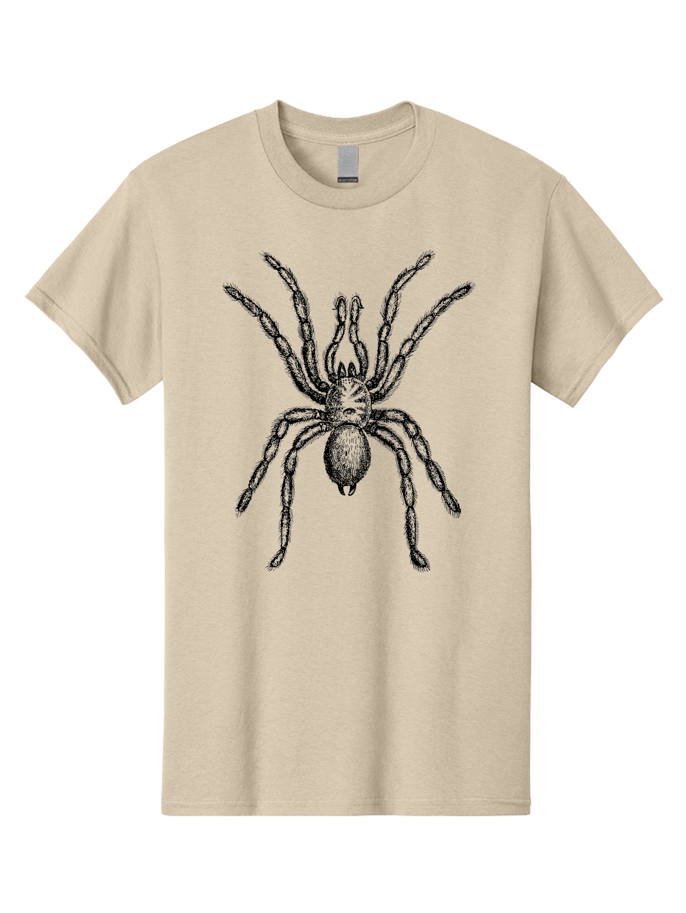Black-Widow Men'S Graphic Tee, 100% Cotton, Comfortable Casual Summer Wear, Machine Washable, Black Widow Spider, Arachnid, Eight Legs, Venomous Spider, Spider Illustration, Detailed Drawing, Black And Green, Spider Art Aab511