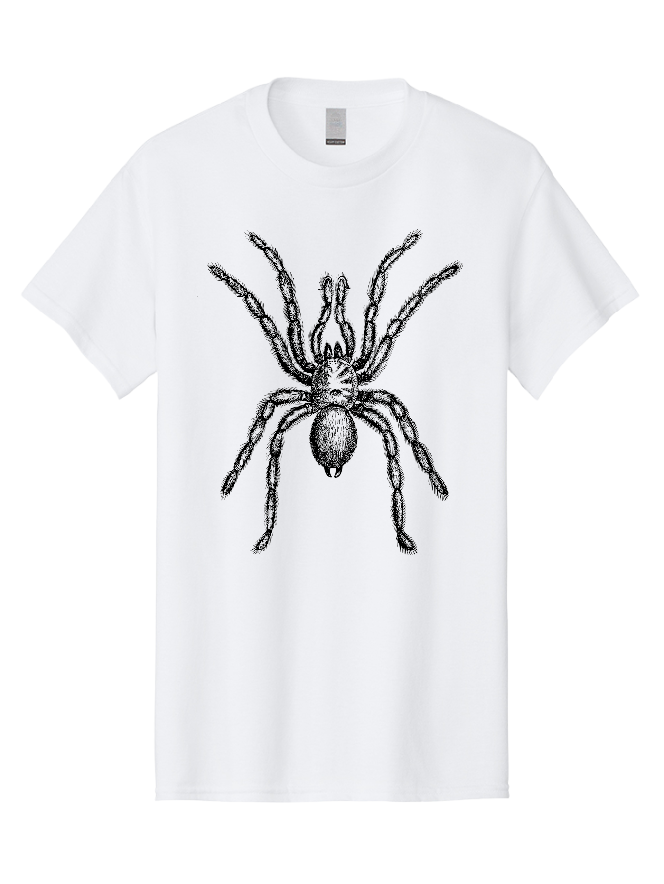 Black-Widow Men'S Graphic Tee, 100% Cotton, Comfortable Casual Summer Wear, Machine Washable, Black Widow Spider, Arachnid, Eight Legs, Venomous Spider, Spider Illustration, Detailed Drawing, Black And Green, Spider Art Aab511