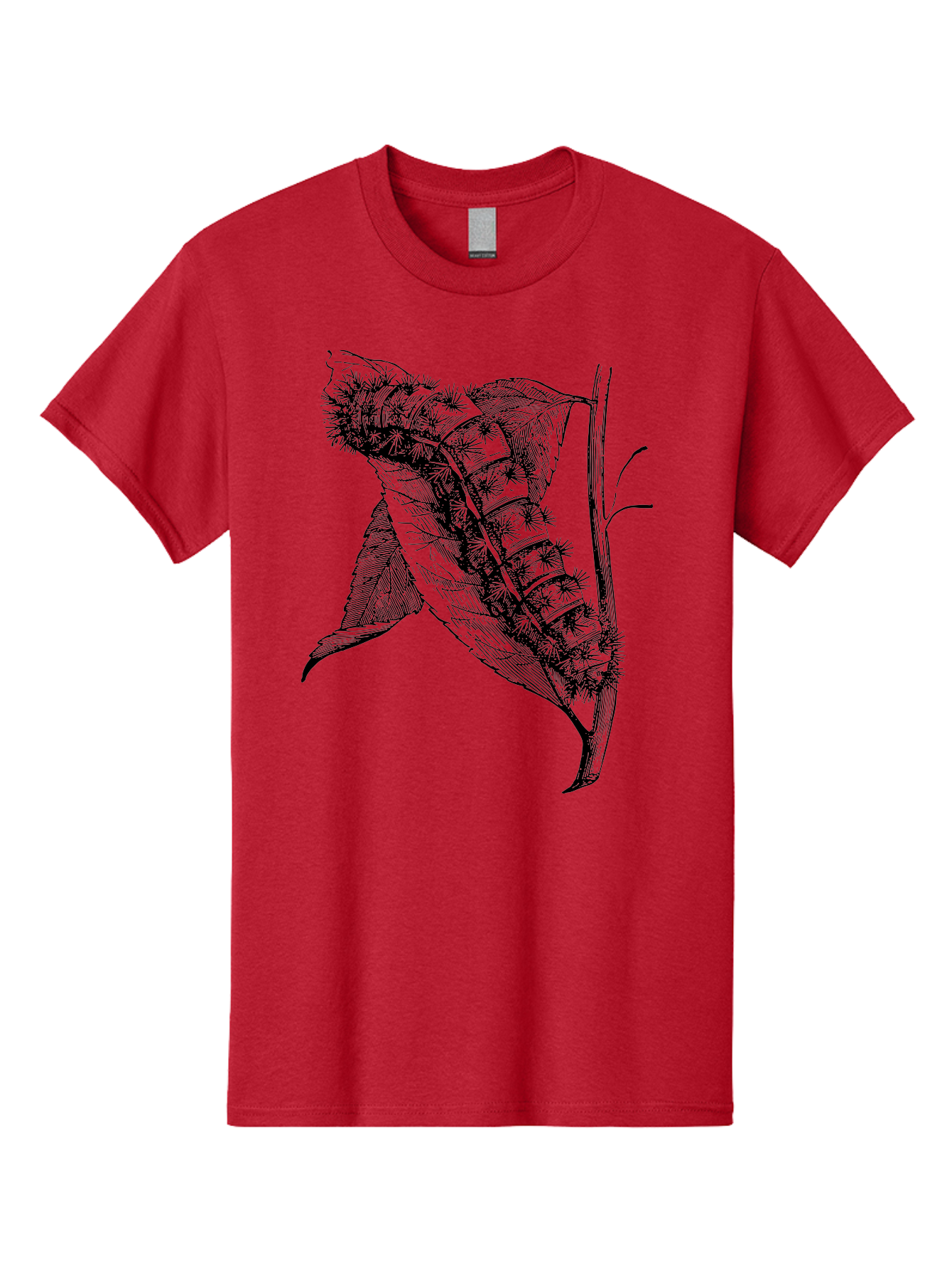 Caterpillar-On-Leaf Men'S Graphic Tee, 100% Cotton, Comfortable Casual Summer Wear, Machine Washable, Caterpillar On A Leaf, Insect Life Cycle, Metamorphosis, Nature Illustration, Botanical Art, Wildlife, Detailed Drawing, Spiky Caterpillar, Aab520