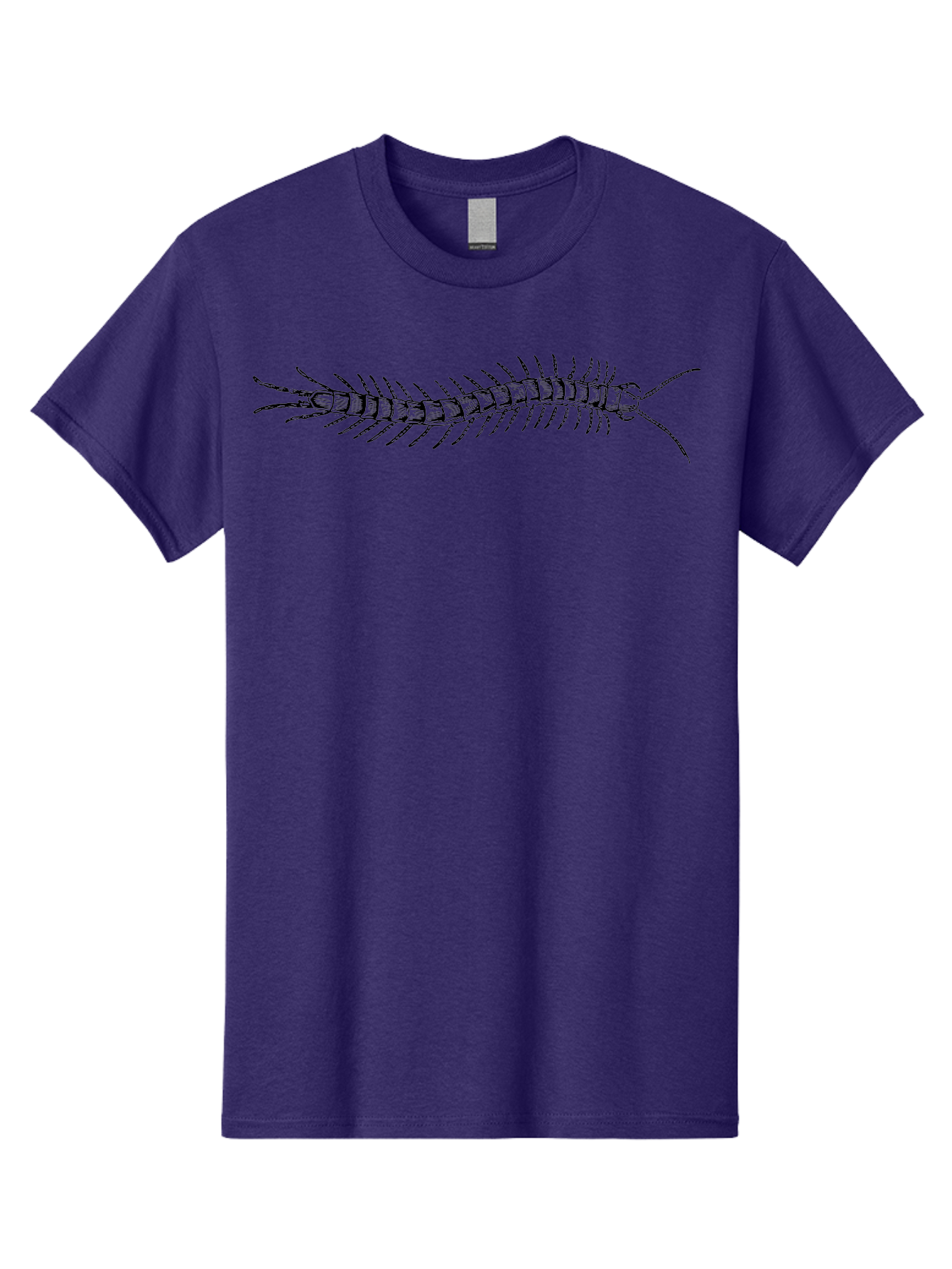 Centipede-1 Men'S Graphic Tee, 100% Cotton, Comfortable Casual Summer Wear, Machine Washable, Centipede, Insect, Arthropod, Segmented Body, Multiple Legs, Long Antennae, Creepy Crawlers, Entomology, Wildlife, Fauna Aab521