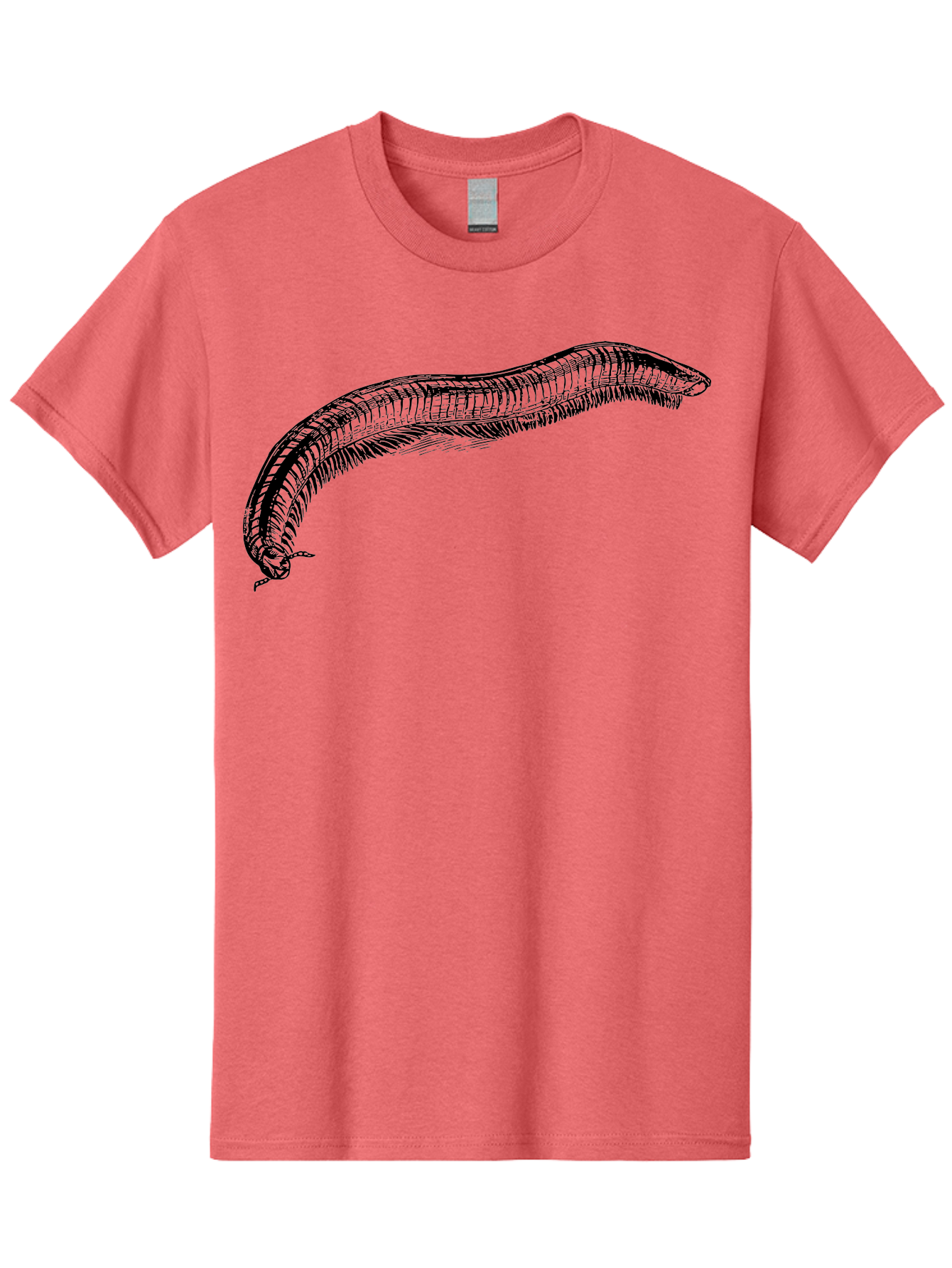 Centipede Men'S Graphic Tee, 100% Cotton, Comfortable Casual Summer Wear, Machine Washable, Centipede, Arthropod, Insect Anatomy, Detailed Drawing, Black Lines, Simple Background, Invertebrate, Segmented Body, Many Legs Aab522