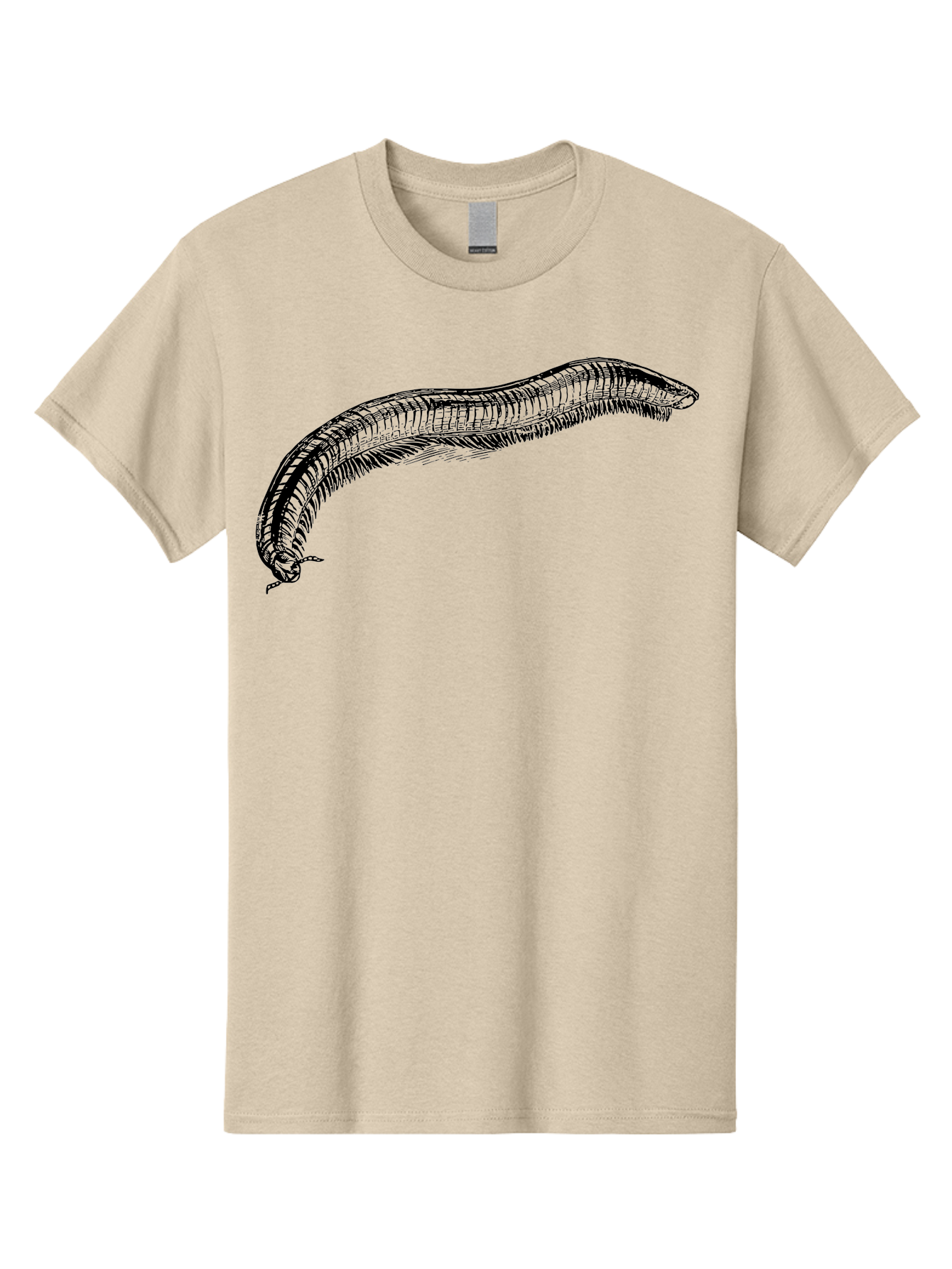 Centipede Men'S Graphic Tee, 100% Cotton, Comfortable Casual Summer Wear, Machine Washable, Centipede, Arthropod, Insect Anatomy, Detailed Drawing, Black Lines, Simple Background, Invertebrate, Segmented Body, Many Legs Aab522