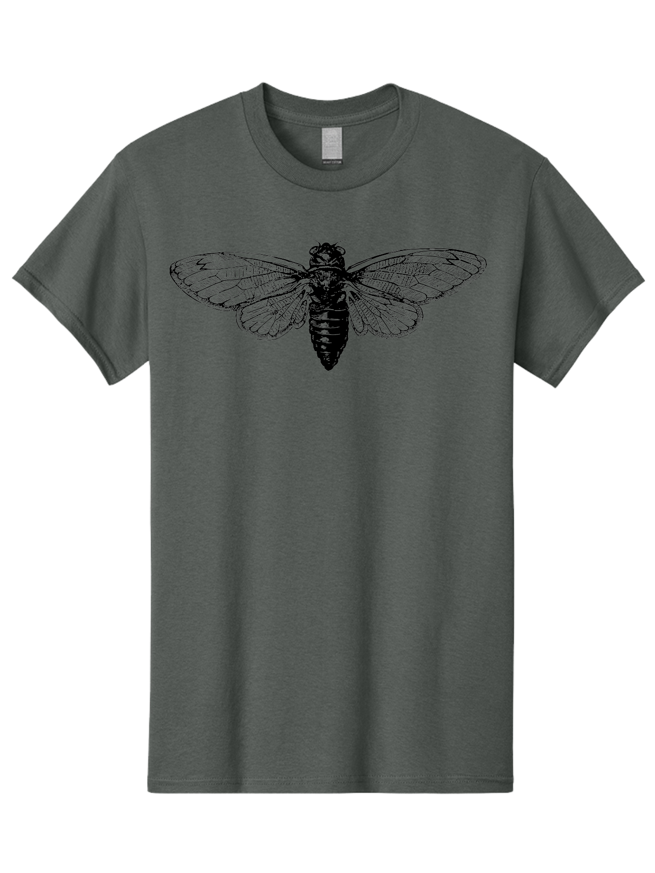 Cicada Men'S Graphic Tee, 100% Cotton, Comfortable Casual Summer Wear, Machine Washable, Cicada Insect, Insect Illustration, Bug Art, Entomology, Wildlife Graphics, Insect Wings, Detailed Drawing, Black And Green, Cicada Species Aab523