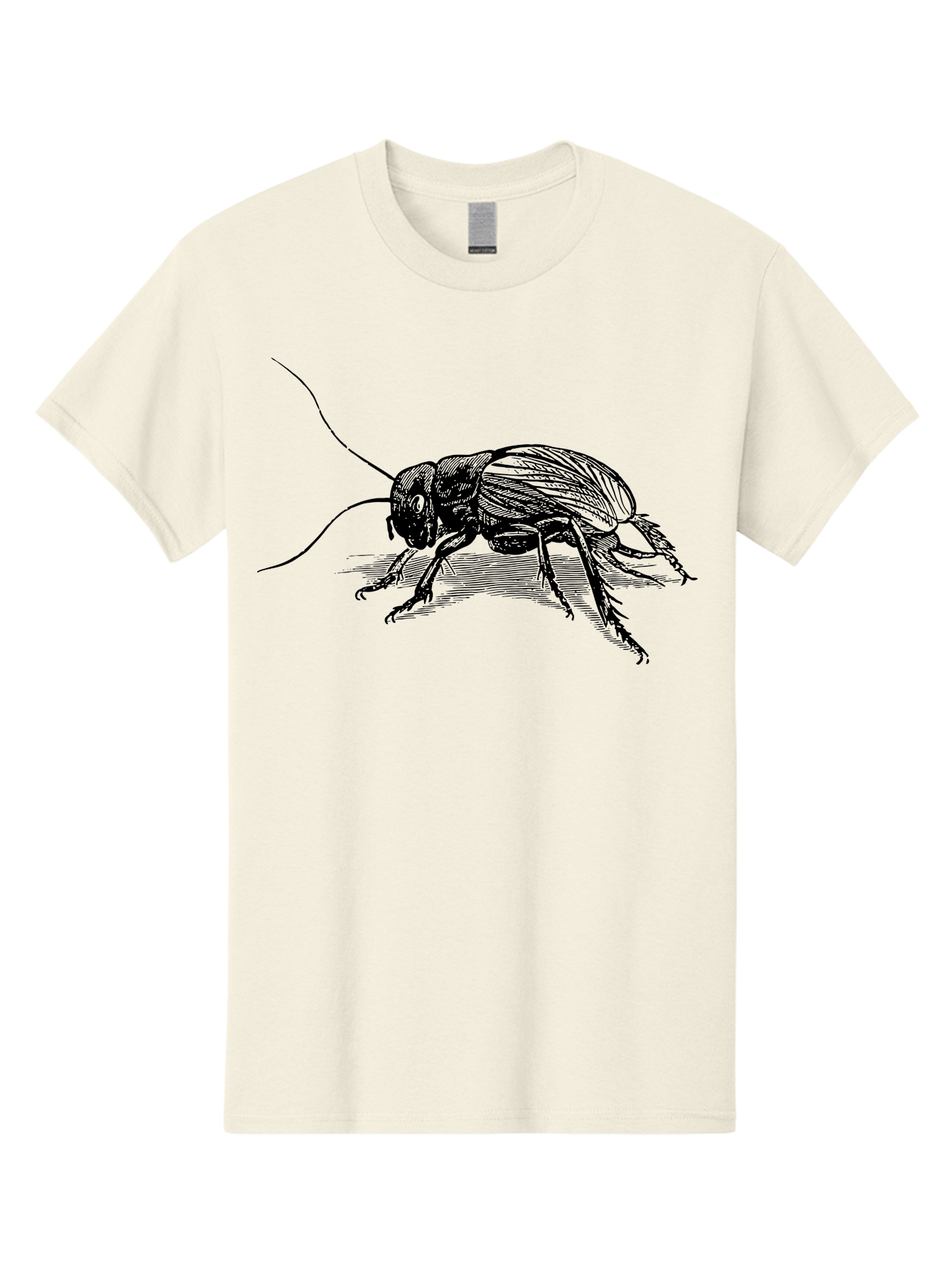 Cricket-2 Men'S Graphic Tee, 100% Cotton, Comfortable Casual Summer Wear, Machine Washable, Cricket Insect, Black Illustration, Detailed Drawing, Insect Anatomy, Entomology Art, Wildlife Illustration, Insect Wings, Long Antennae Aab525