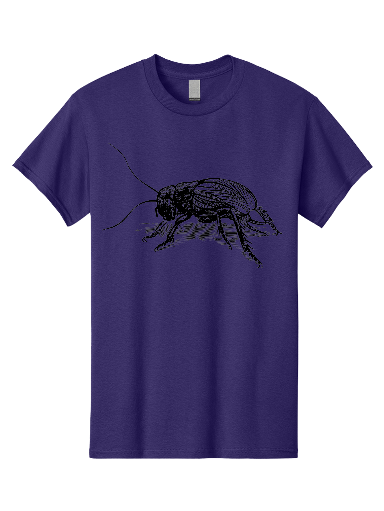 Cricket-2 Men'S Graphic Tee, 100% Cotton, Comfortable Casual Summer Wear, Machine Washable, Cricket Insect, Black Illustration, Detailed Drawing, Insect Anatomy, Entomology Art, Wildlife Illustration, Insect Wings, Long Antennae Aab525