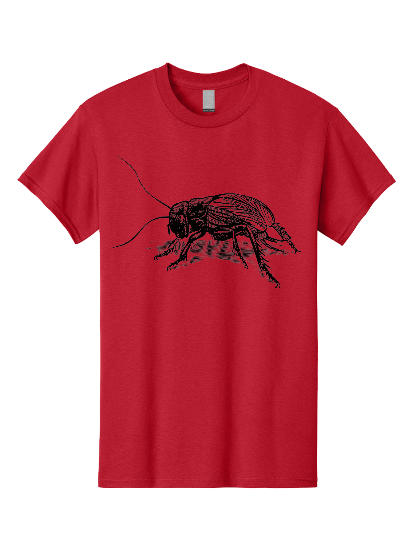 Cricket-2 Men'S Graphic Tee, 100% Cotton, Comfortable Casual Summer Wear, Machine Washable, Cricket Insect, Black Illustration, Detailed Drawing, Insect Anatomy, Entomology Art, Wildlife Illustration, Insect Wings, Long Antennae Aab525