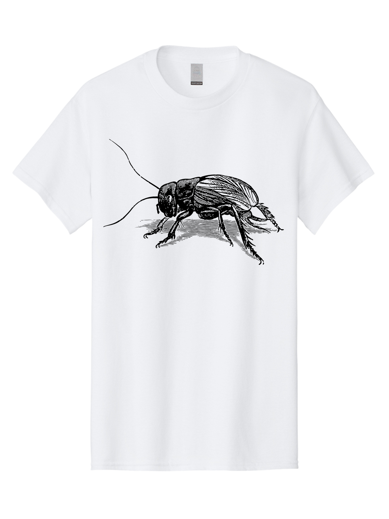 Cricket-2 Men'S Graphic Tee, 100% Cotton, Comfortable Casual Summer Wear, Machine Washable, Cricket Insect, Black Illustration, Detailed Drawing, Insect Anatomy, Entomology Art, Wildlife Illustration, Insect Wings, Long Antennae Aab525