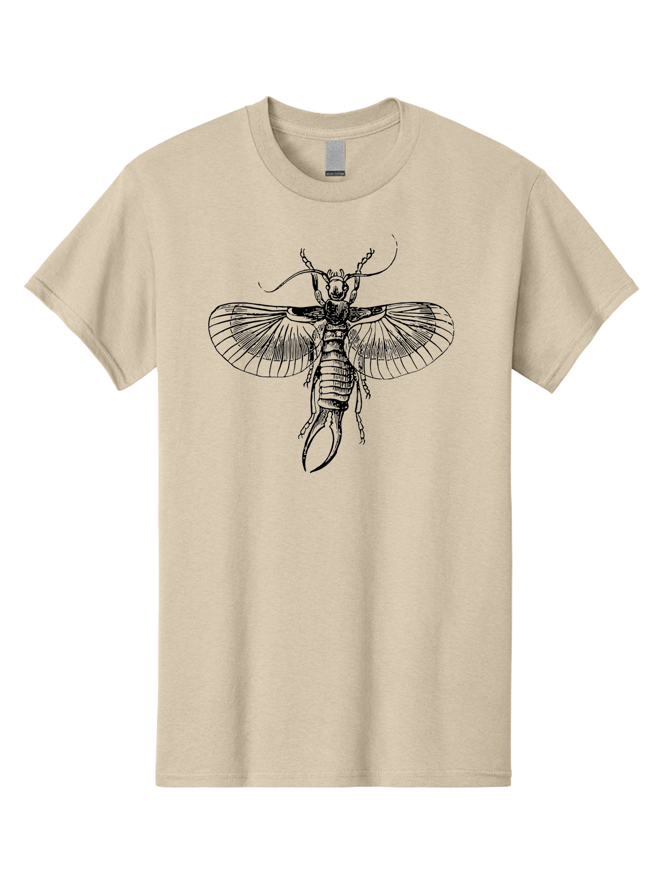 Earwig Men'S Graphic Tee, 100% Cotton, Comfortable Casual Summer Wear, Machine Washable, Detailed Illustration, Earwig Insect, Black And Green, Entomology Art, Insect Anatomy, Detailed Wings, Pincers, Entomological Illustration, Bug Art Aab530