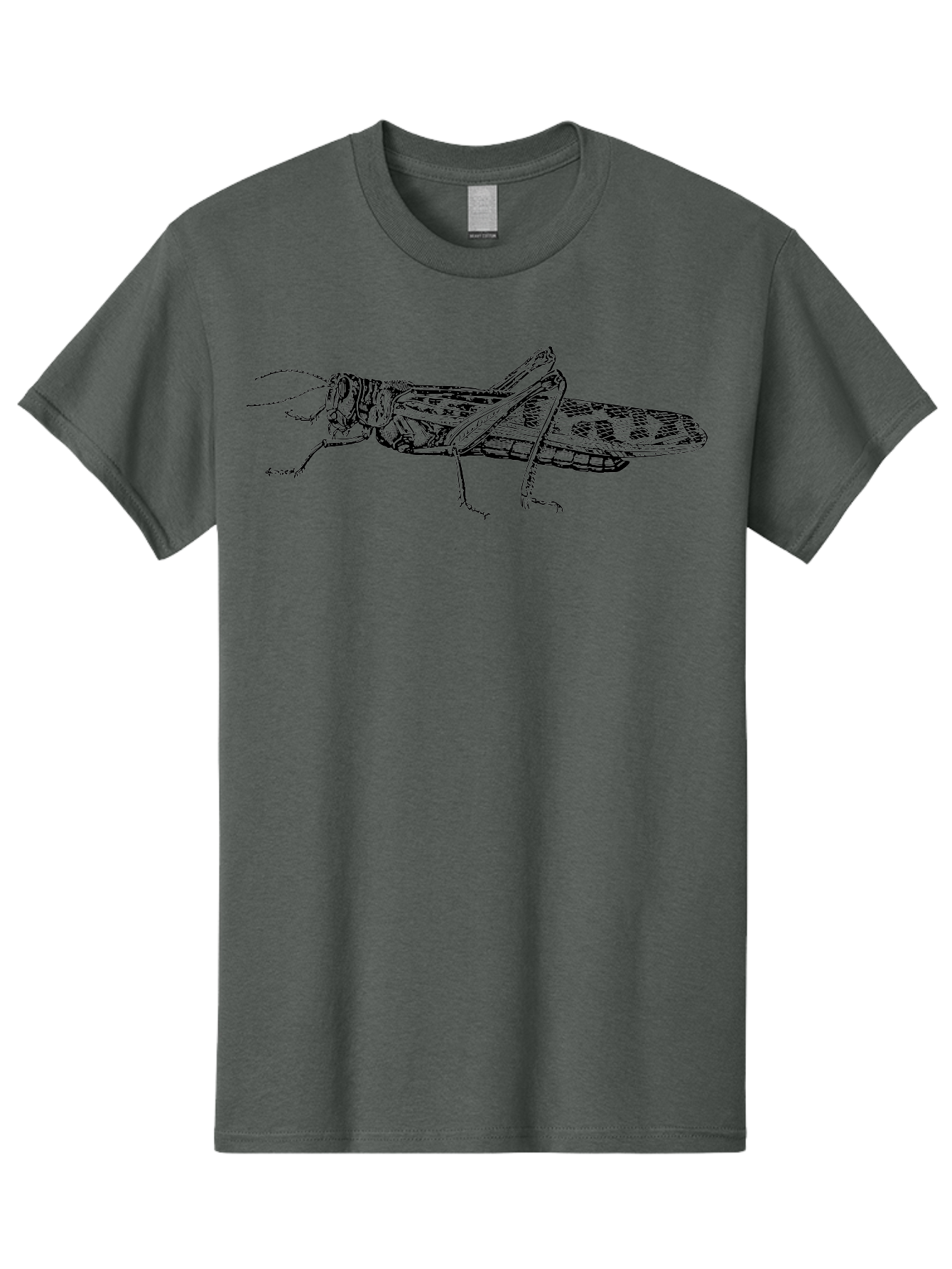 Grasshopper Men'S Graphic Tee, 100% Cotton, Comfortable Casual Summer Wear, Machine Washable, Detailed Illustration, Grasshopper, Insect, Entomology, Wildlife, Sketch Art, Black Lines, Detailed Drawing, Fauna, Zoology Aab537