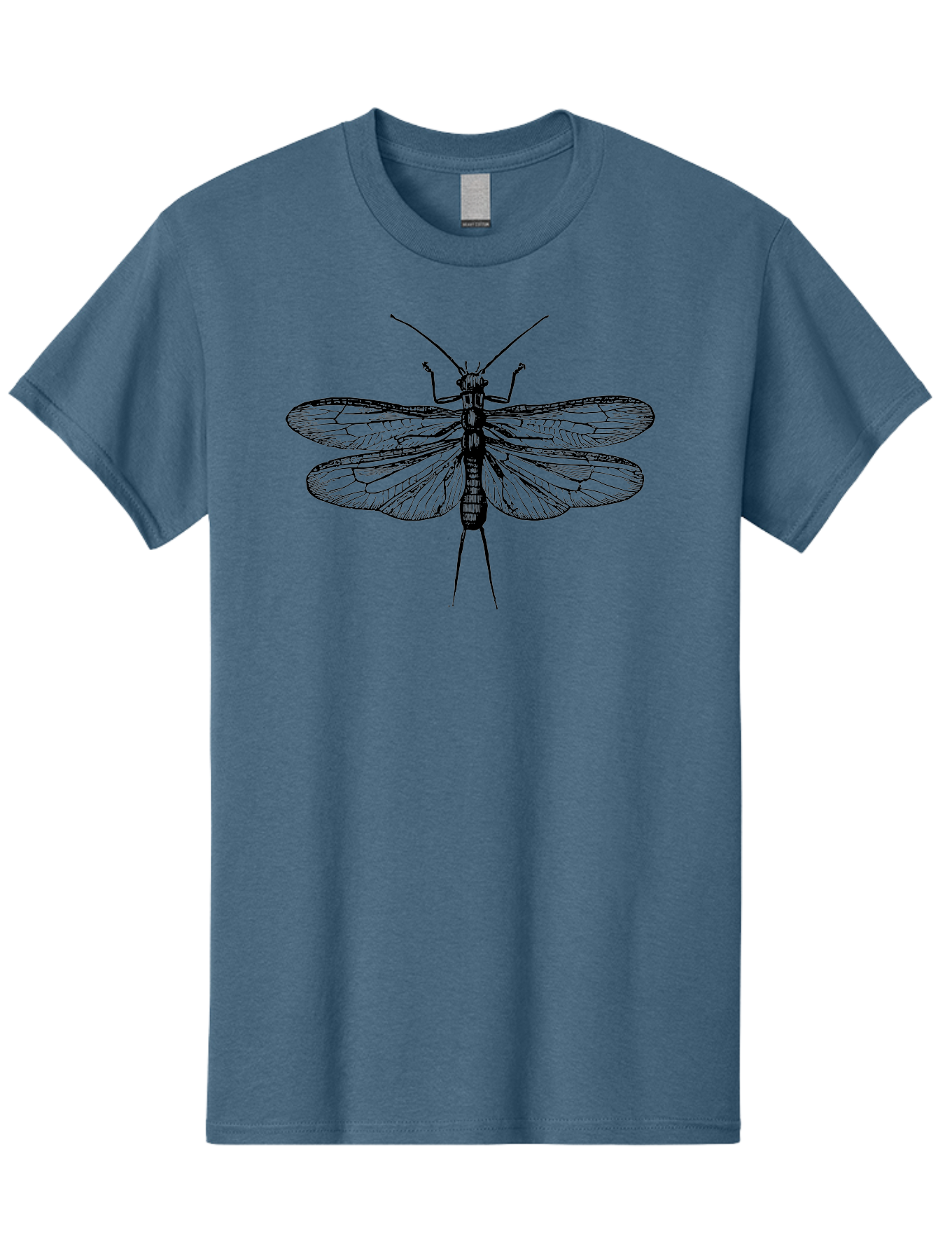 Katydid Men'S Graphic Tee, 100% Cotton, Comfortable Casual Summer Wear, Machine Washable, Black Cricket Illustration, Insect Art, Detailed Drawing, Winged Creature, Entomology, Insect Wings, Detailed Lines, Graphic Design Aab540