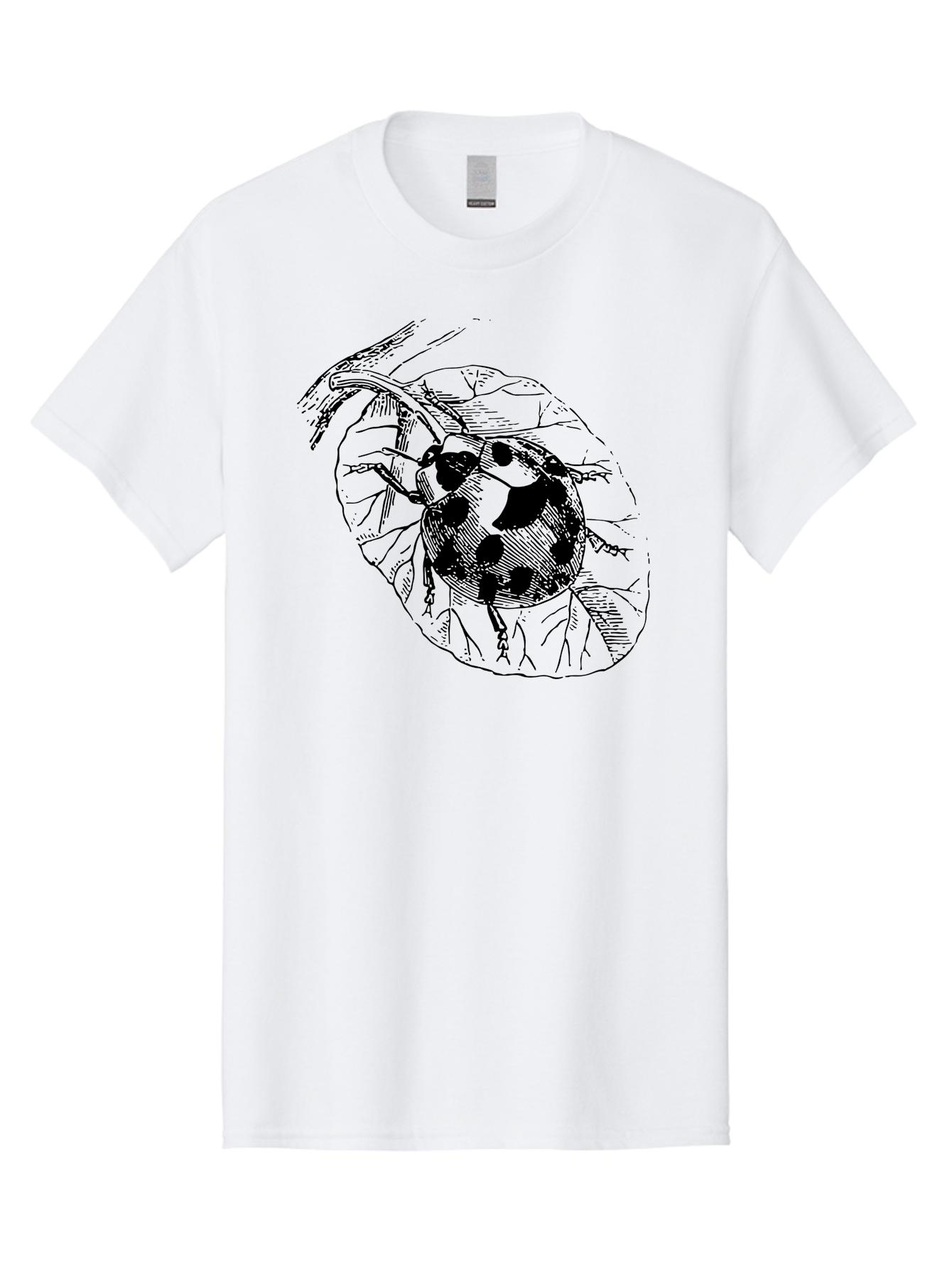 Ladybug-On-Leaf Men'S Graphic Tee, 100% Cotton, Comfortable Casual Summer Wear, Machine Washable, Ladybug On A Leaf, Black And White Illustration, Lady Beetle, Garden Insect, Sketch Art, Wildlife Illustration, Beetle On Foliage Aab541