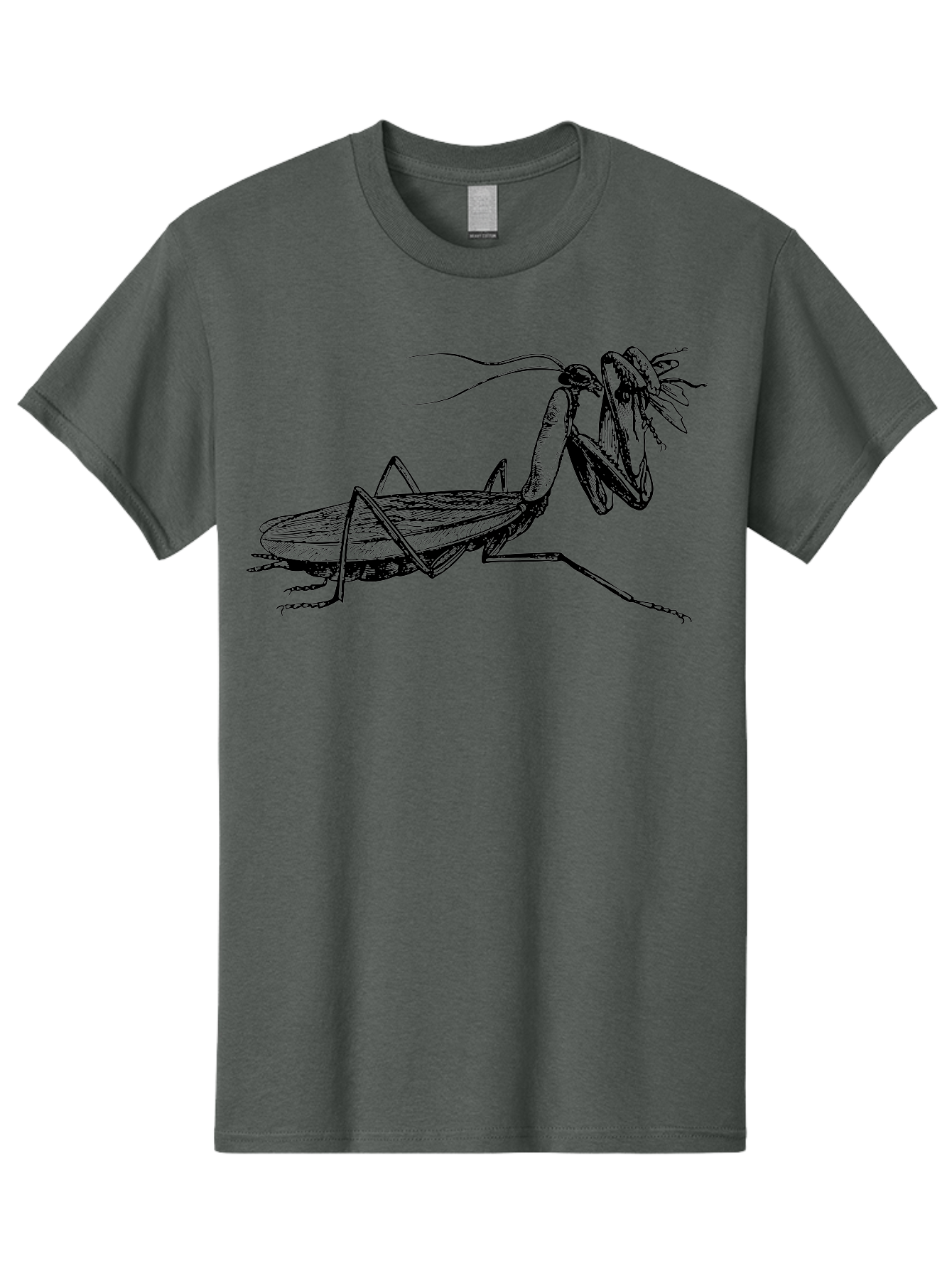 Mantis-Eating-Fly Men'S Graphic Tee, 100% Cotton, Comfortable Casual Summer Wear, Machine Washable, Praying Mantis Eating A Fly, Insect Predator, Detailed Illustration, Black And Green, Entomology Art, Wildlife Photography, Insect Behavior Aab544