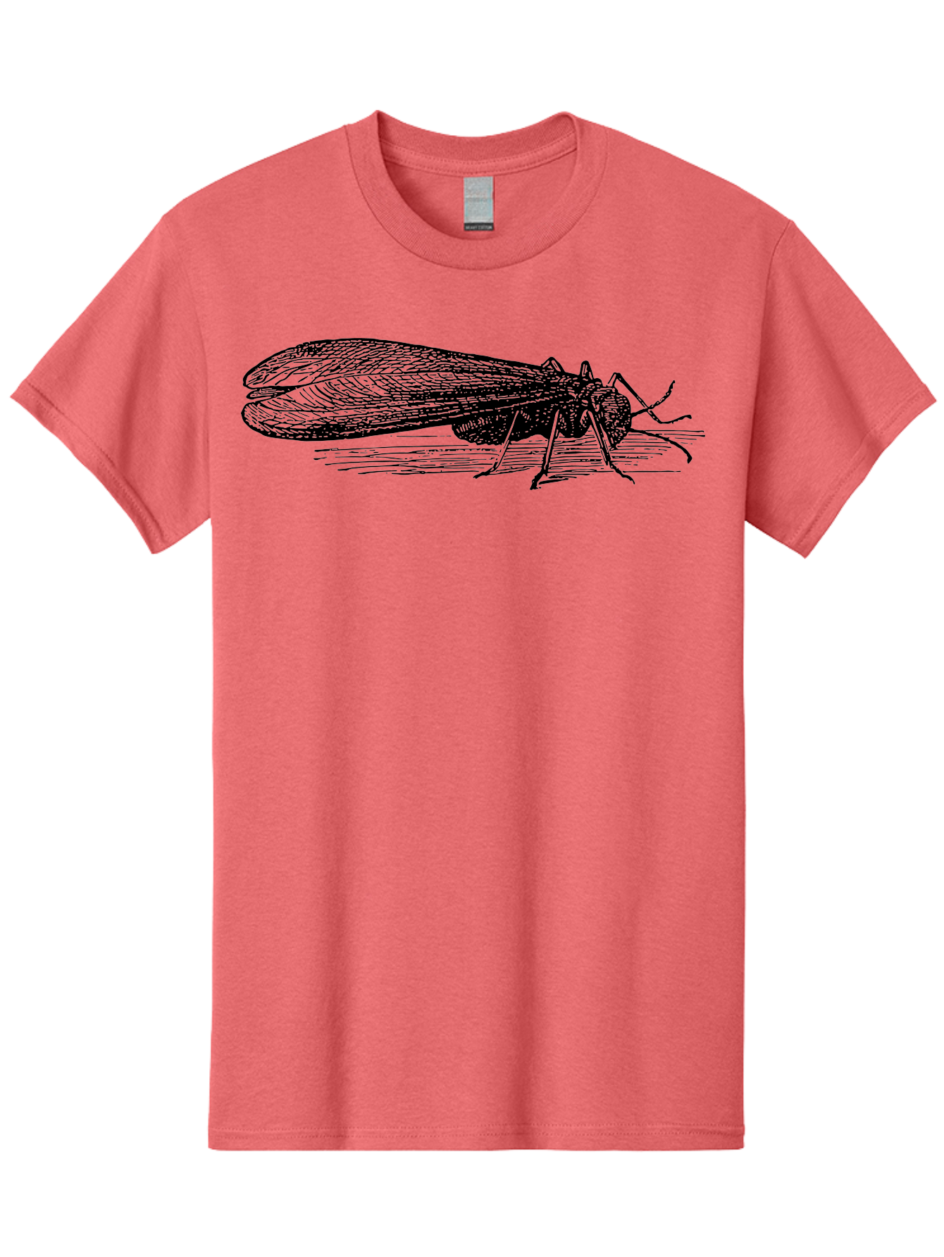 Moth Men'S Graphic Tee, 100% Cotton, Comfortable Casual Summer Wear, Machine Washable, Mayfly Insect, Vintage Illustration, Black And White Artwork, Detailed Drawing, Insect Anatomy, Entomology, Wildlife Art, Natural History, Insect Wings, Aab549