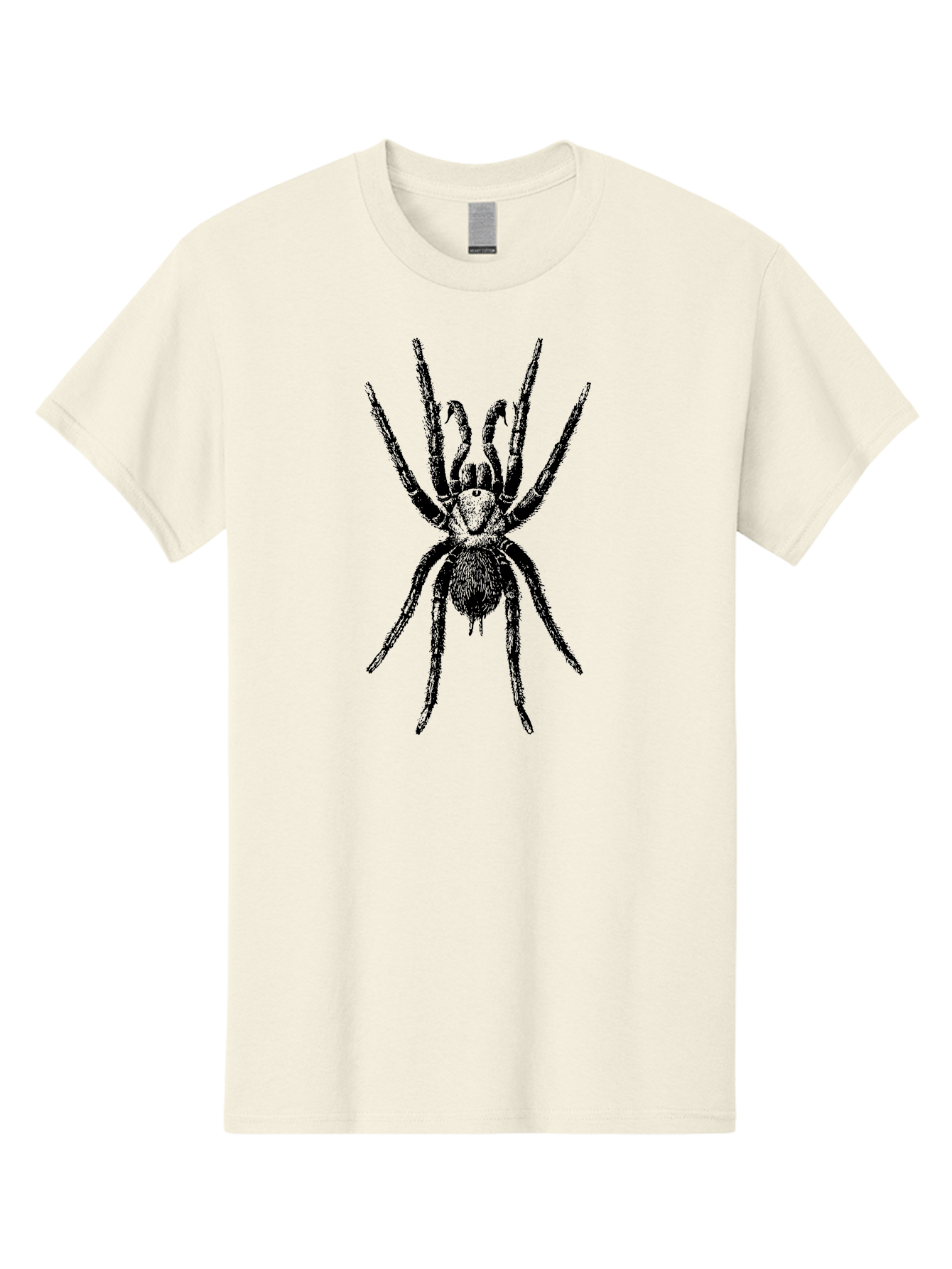 Spider Men'S Graphic Tee, 100% Cotton, Comfortable Casual Summer Wear, Machine Washable, Black Widow Spider, Arachnid, Eight Legs, Spider Silhouette, Arachnophobia, Black And Green, Creepy Crawlers, Spider Graphics, Dark Art Aab554