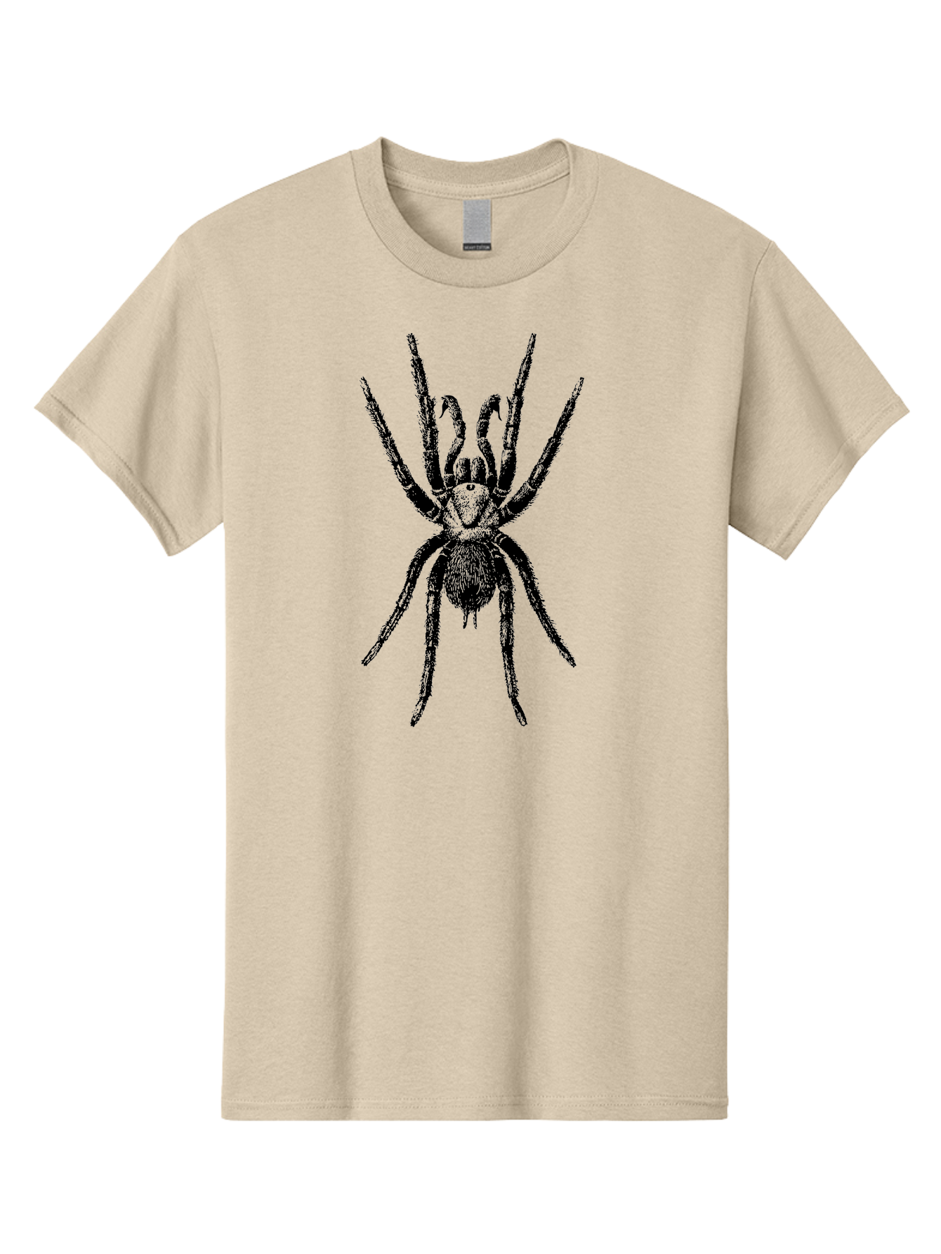 Spider Men'S Graphic Tee, 100% Cotton, Comfortable Casual Summer Wear, Machine Washable, Black Widow Spider, Arachnid, Eight Legs, Spider Silhouette, Arachnophobia, Black And Green, Creepy Crawlers, Spider Graphics, Dark Art Aab554
