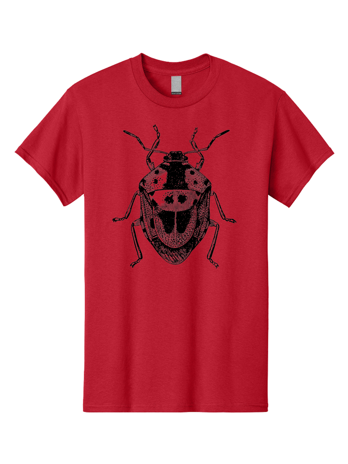 Spotted-Shield-Bug Men'S Graphic Tee, 100% Cotton, Comfortable Casual Summer Wear, Machine Washable, Shield Bug, Insect, Entomology, Bug Illustration, Black And Green, Detailed Drawing, Insect Anatomy, Bug Species, Natural History Aab555