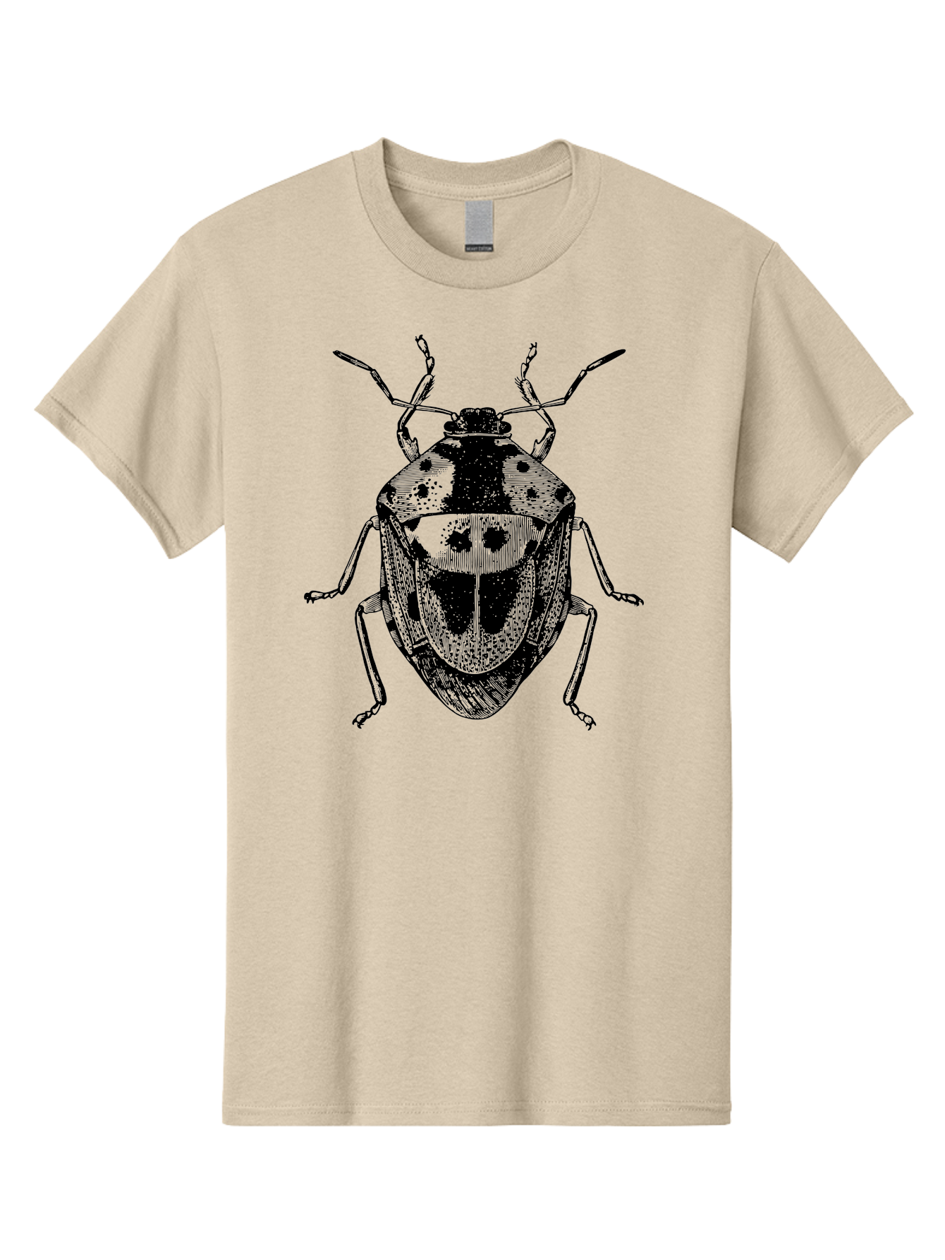 Spotted-Shield-Bug Men'S Graphic Tee, 100% Cotton, Comfortable Casual Summer Wear, Machine Washable, Shield Bug, Insect, Entomology, Bug Illustration, Black And Green, Detailed Drawing, Insect Anatomy, Bug Species, Natural History Aab555