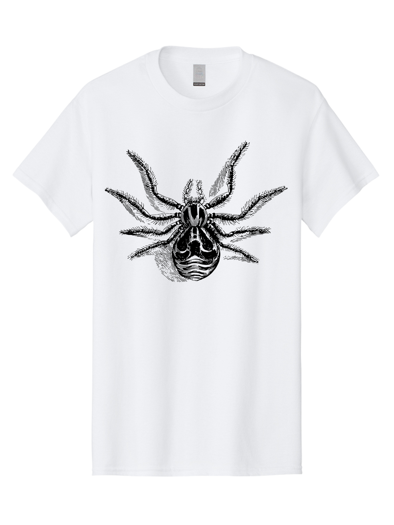 Tarantula Men'S Graphic Tee, 100% Cotton, Comfortable Casual Summer Wear, Machine Washable, Tarantula, Spider Illustration, Arachnid Art, Black And Green Design, Creepy Crawlers, Spider Graphics, Detailed Drawing, Spider Legs Aab558