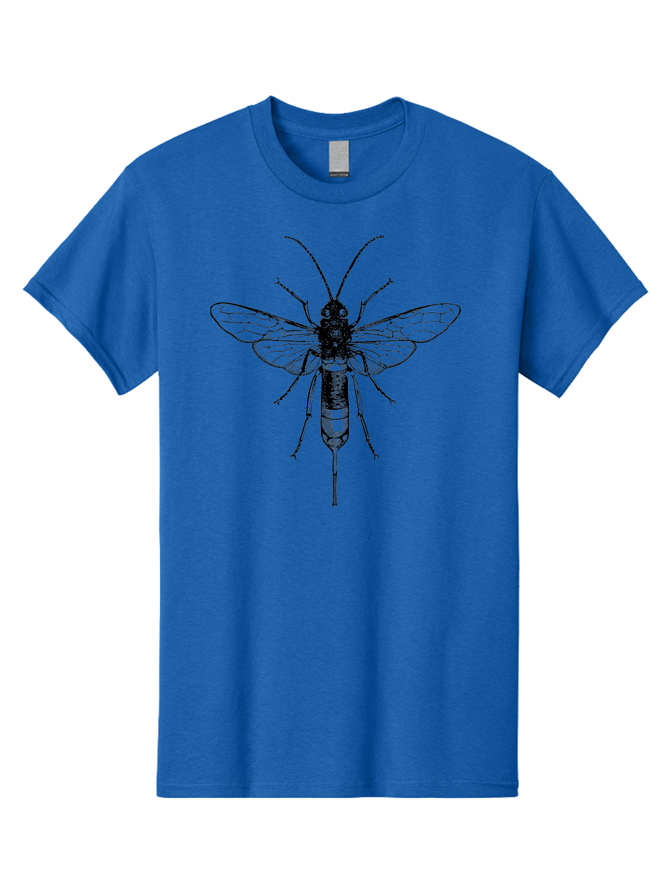 Wasp Men'S Graphic Tee, 100% Cotton, Comfortable Casual Summer Wear, Machine Washable, Black And Green Wasp, Insect Anatomy, Entomology Illustration, Detailed Drawing, Scientific Art, Insect Wings, Wasp Body, Bug Illustration Aab560