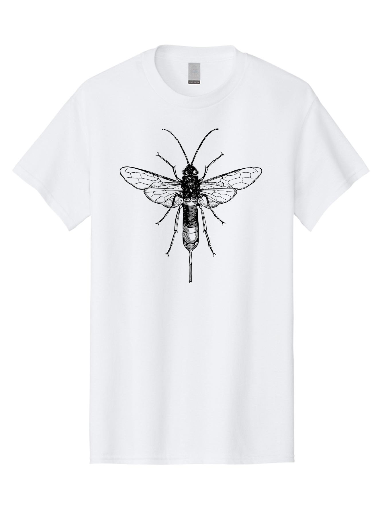 Wasp Men'S Graphic Tee, 100% Cotton, Comfortable Casual Summer Wear, Machine Washable, Black And Green Wasp, Insect Anatomy, Entomology Illustration, Detailed Drawing, Scientific Art, Insect Wings, Wasp Body, Bug Illustration Aab560