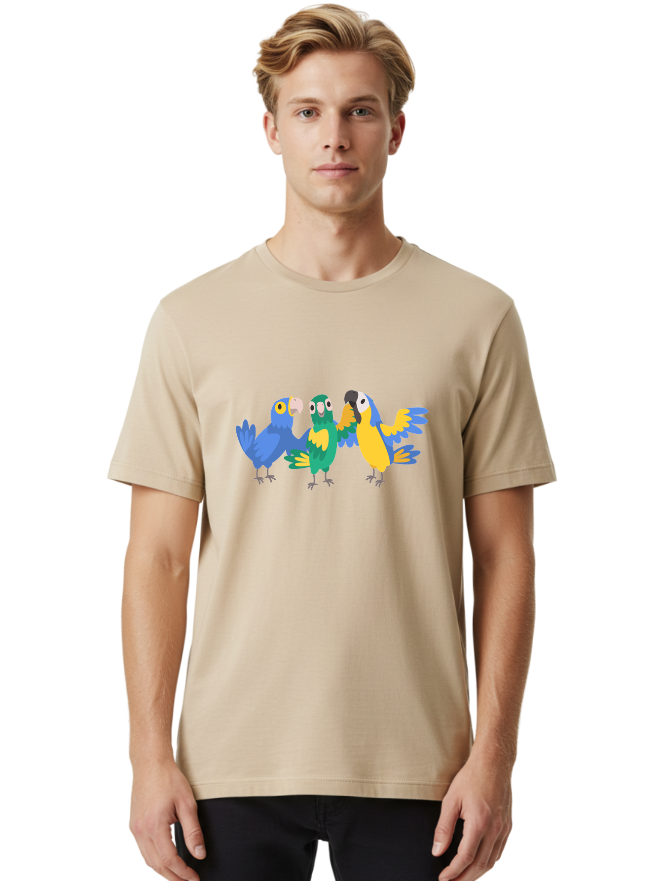 Three-Parrots-1 Men'S Graphic Tee, 100% Cotton, Comfortable Casual Summer Wear, Machine Washable, Colorful Parrots, Vibrant Plumage, Playful Birds, Blue And Yellow Feathers, Parrot Illustration, Playful Interaction, Wild Birds, Parrot Species Aab891