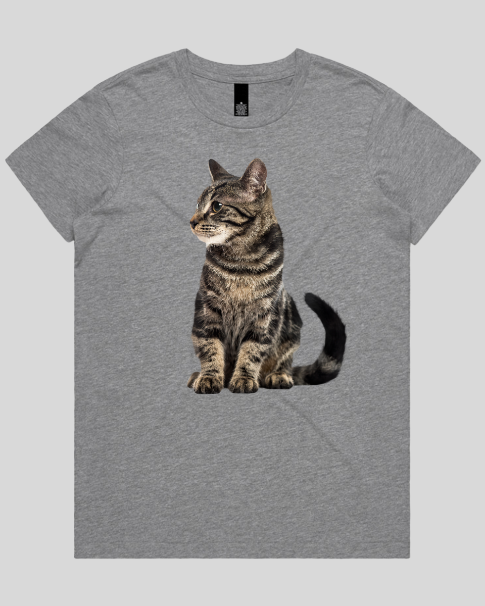 Alert Cat Women's T-Shirt