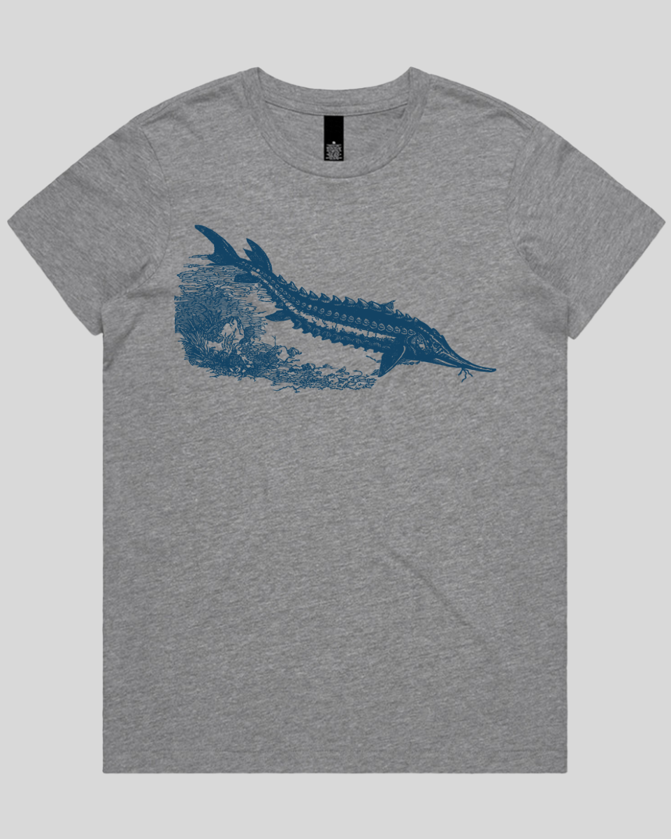 Ancient River Fish Women's T-Shirt